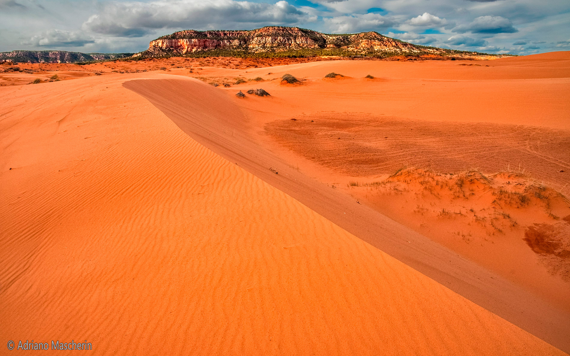 Coral pink sand dunes