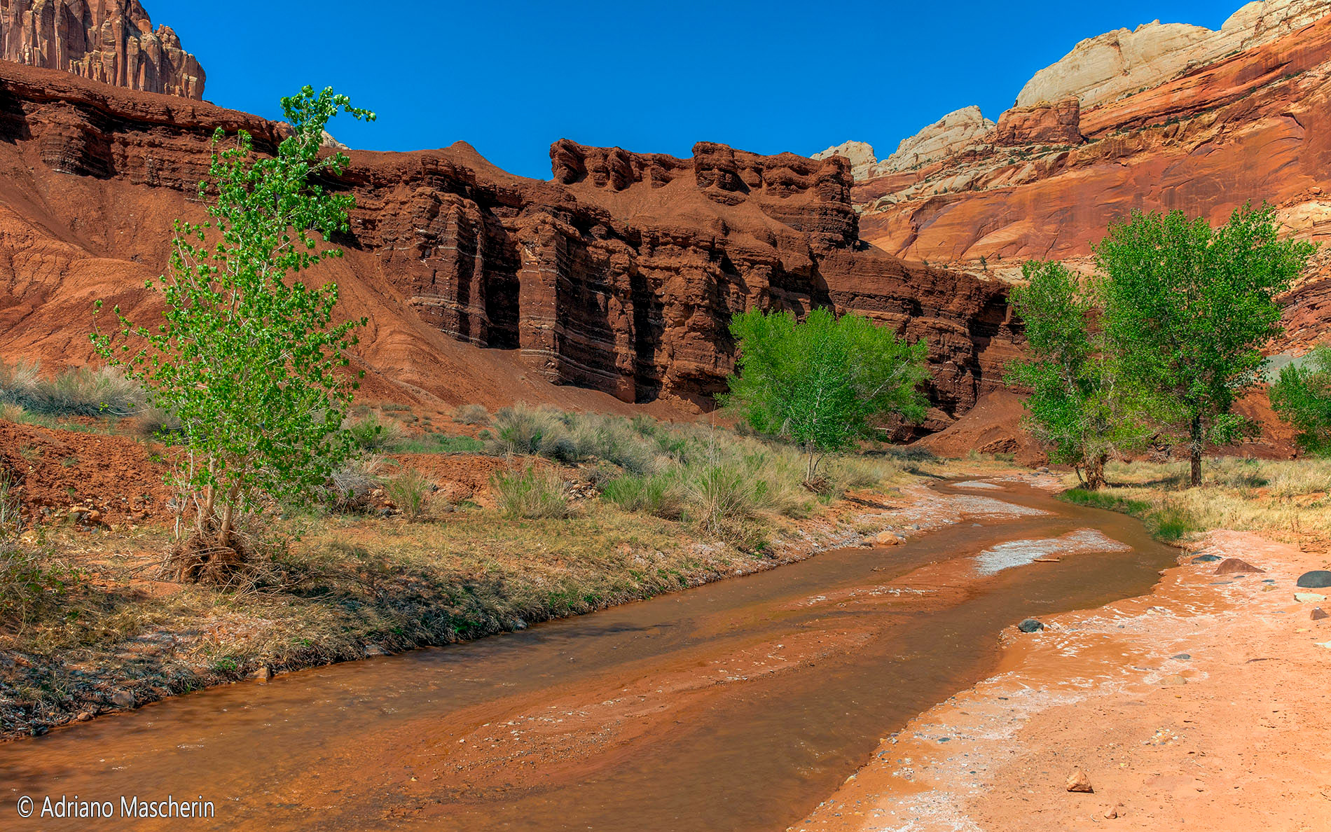 Fremont River near Fruita - Capitol Reef NP