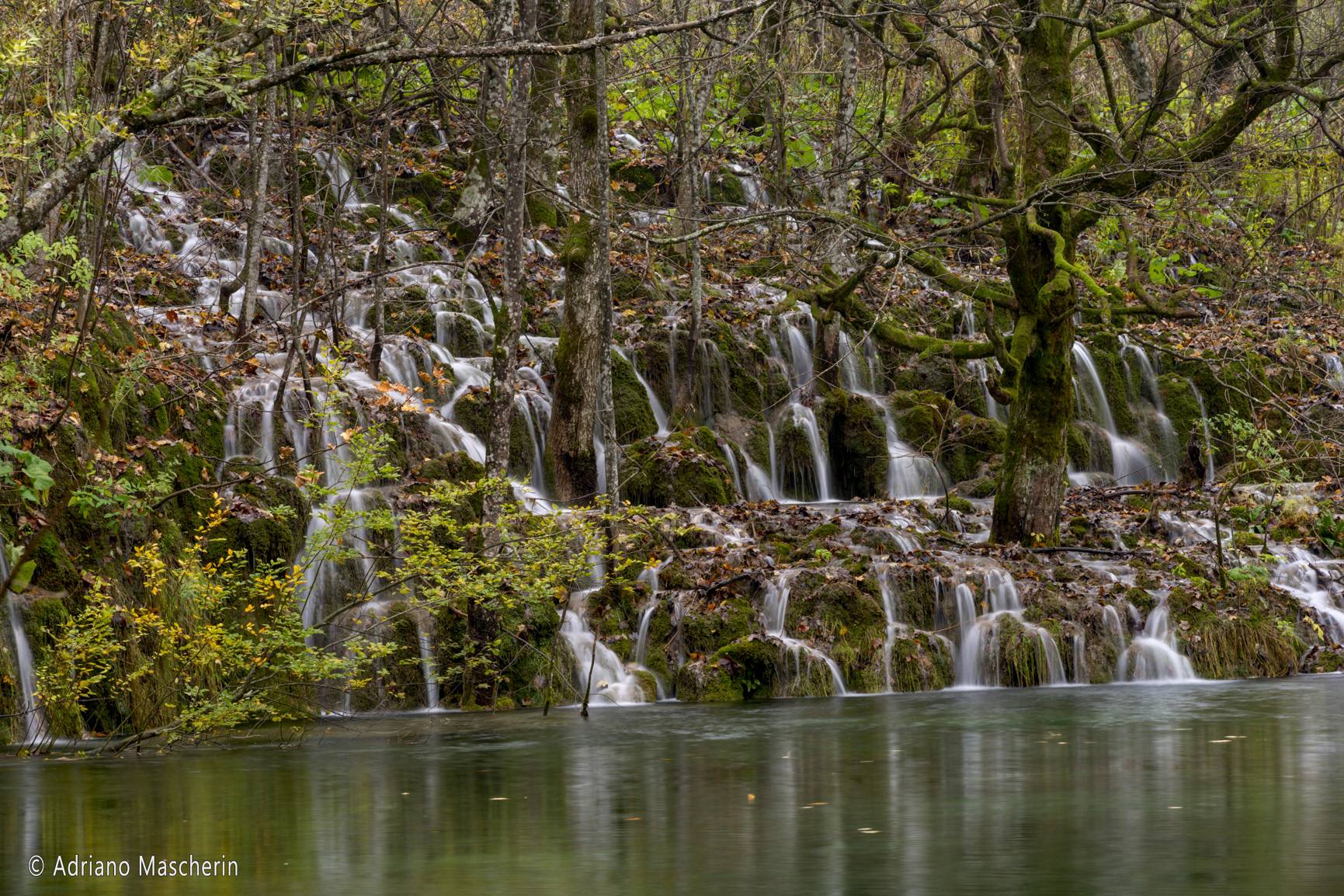 Cascatelle nel bosco - Waterfalls in the woods