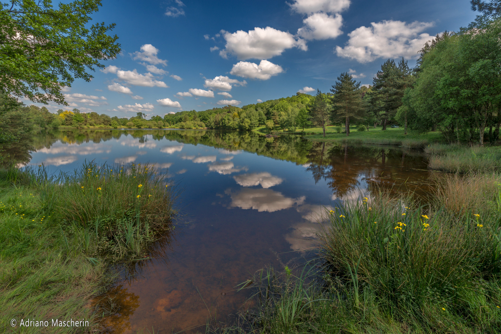 Saint-Malon-sur-Mel - Stagno de la Marette - Pond de la Marette