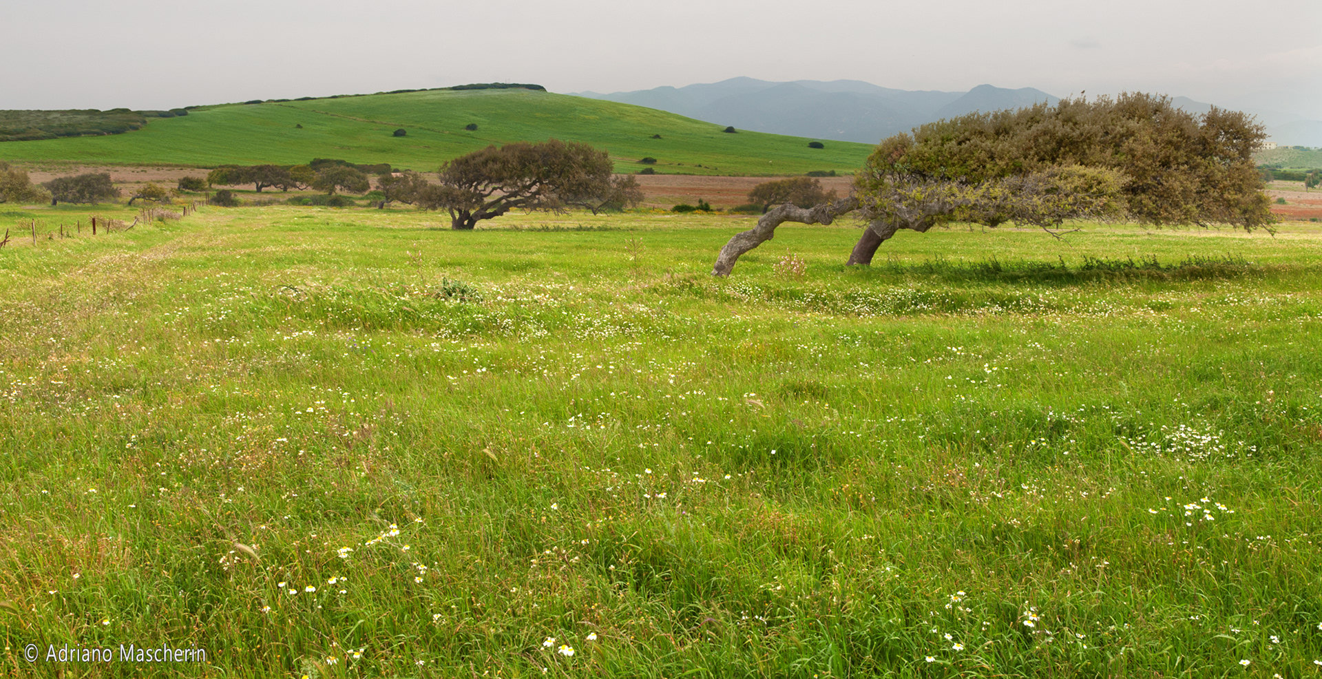 Gonnesa - I luoghi del vento - The places of the wind