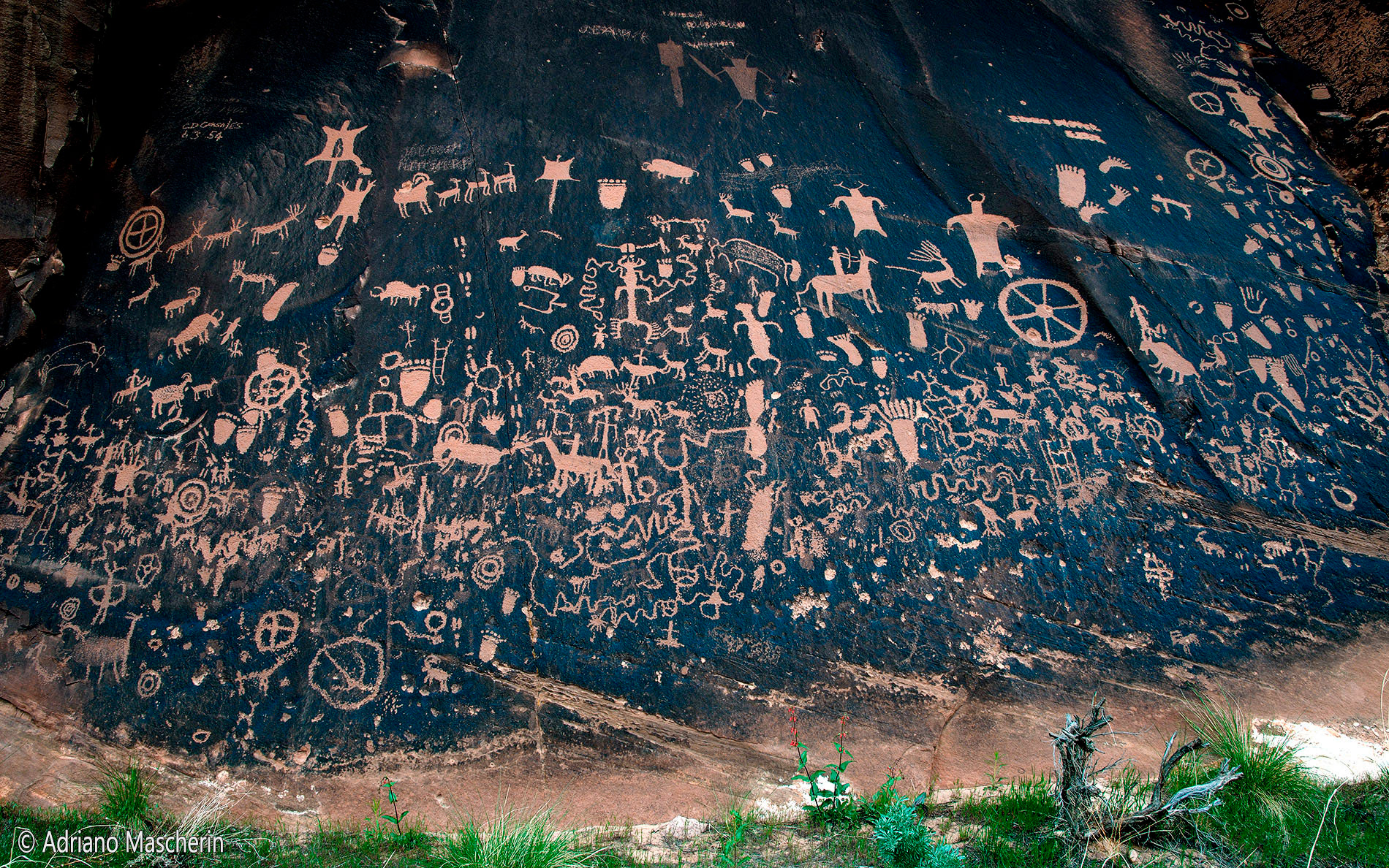 News Paper Rock - Neddle District Canyonlands