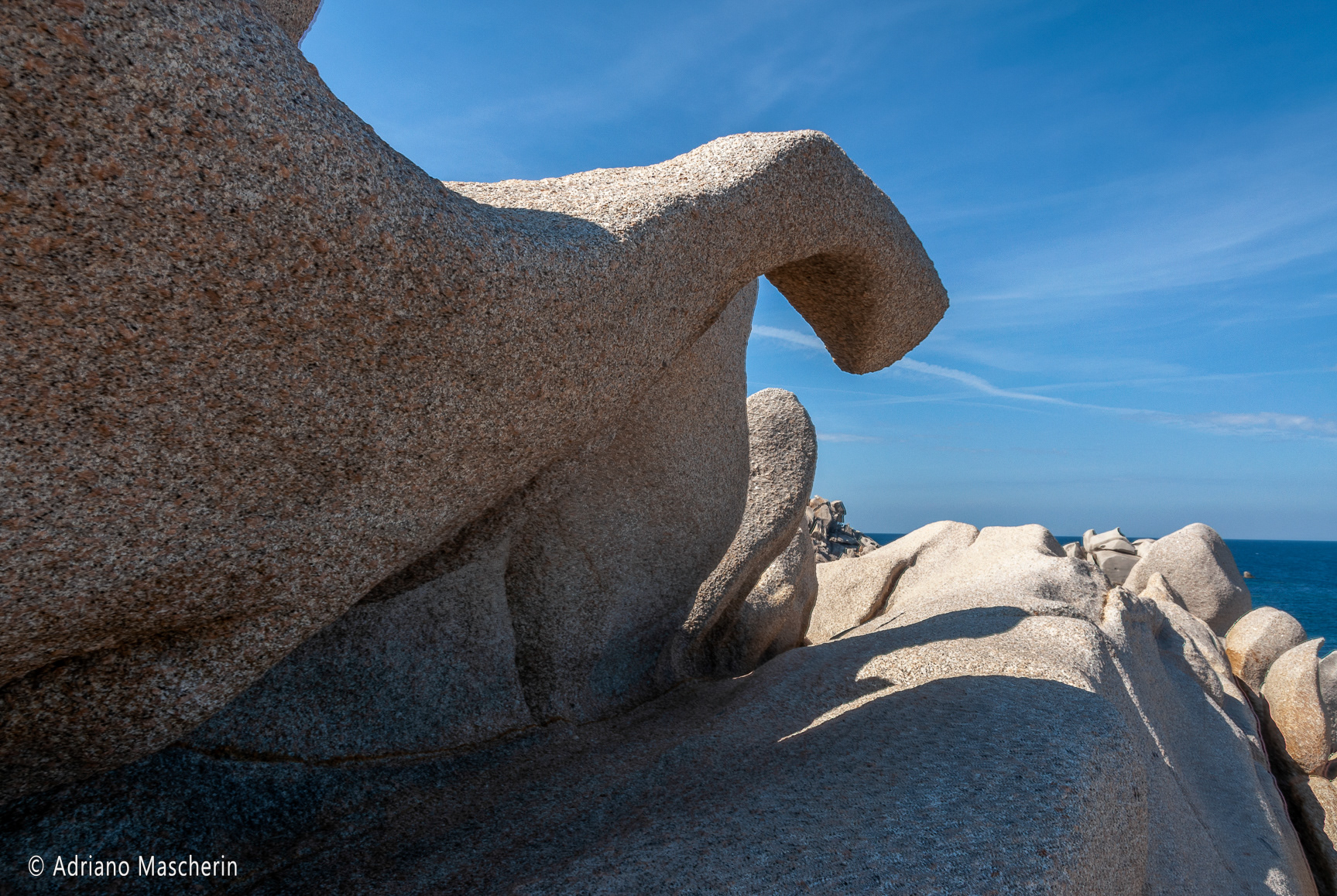 Capo testa - Il dinosauro - The dinosaur