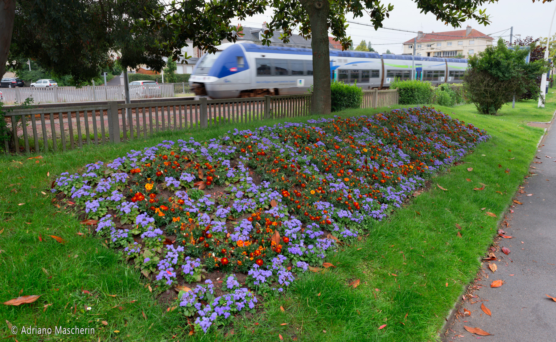 Carentan - Giardino