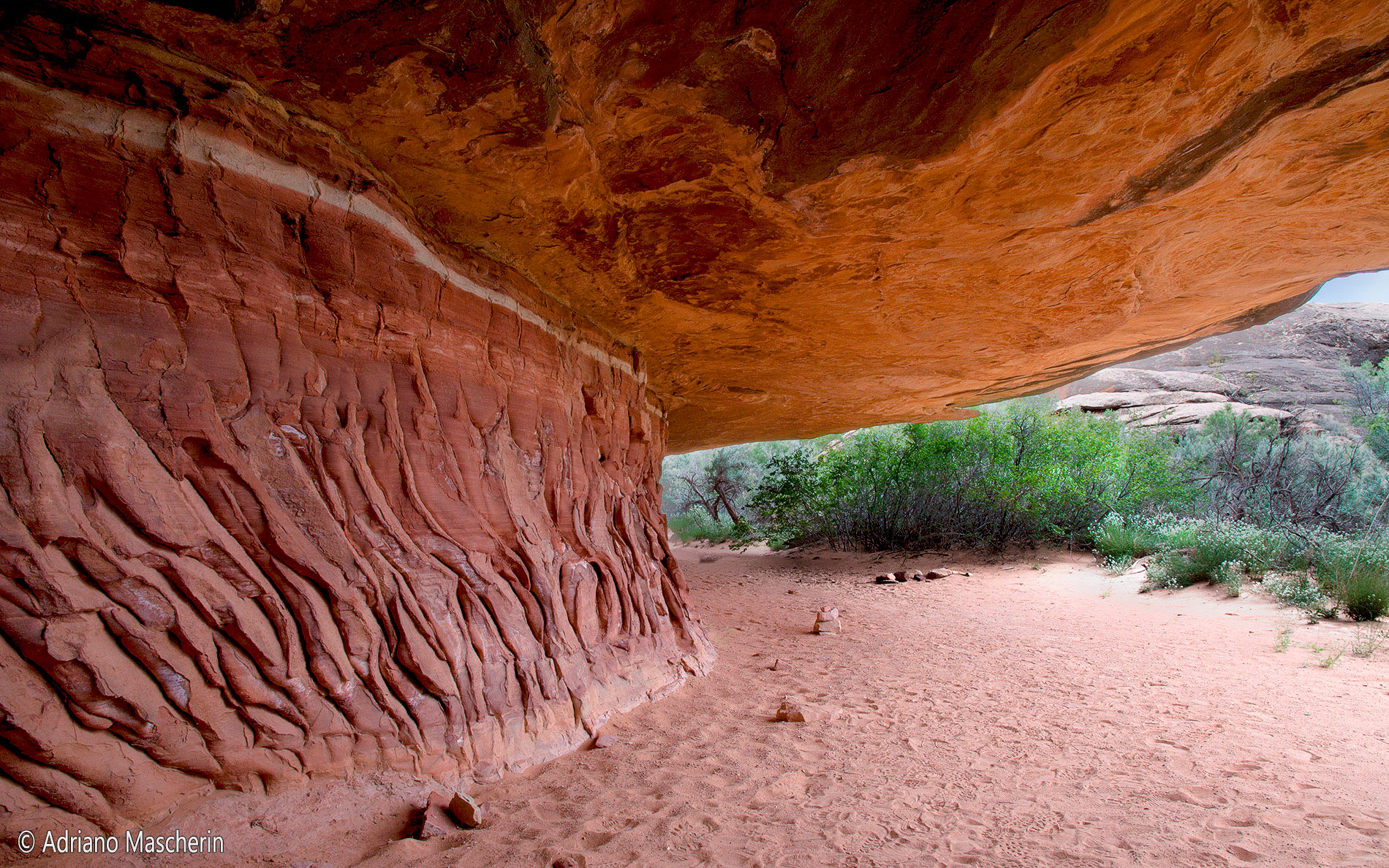 Cave Springs - Needles NP