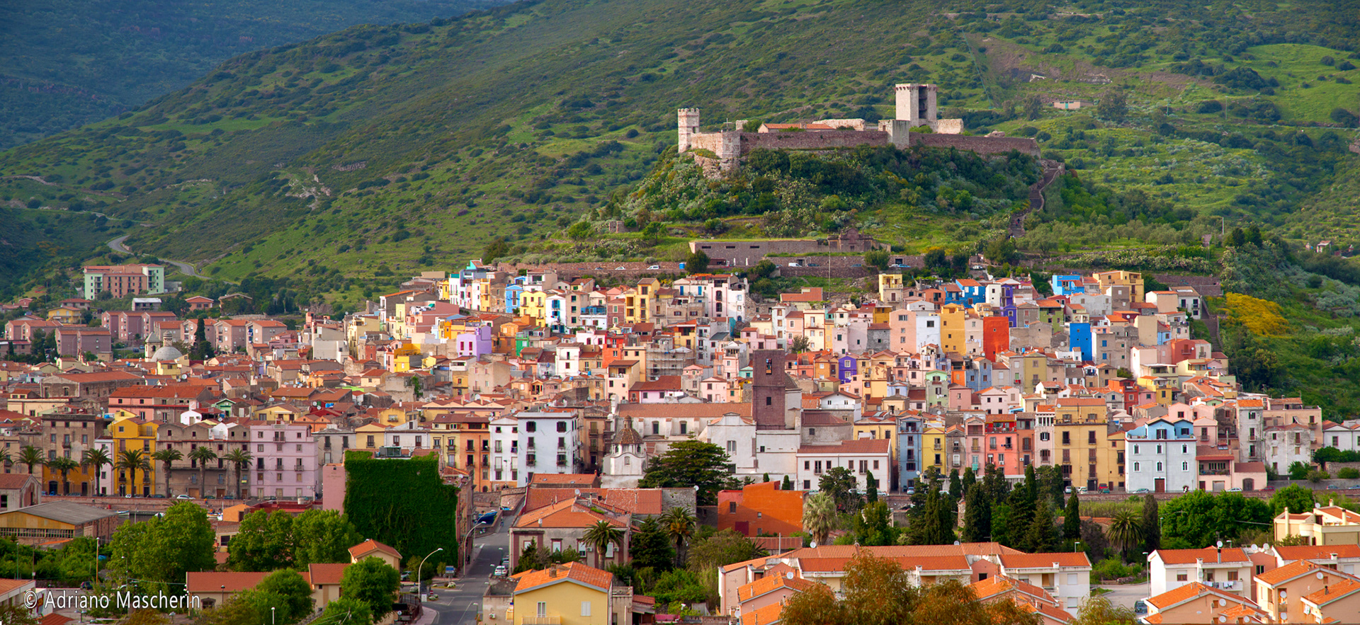 Bosa