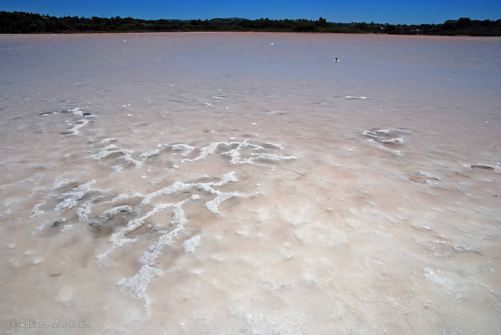 Calasetta - Saline