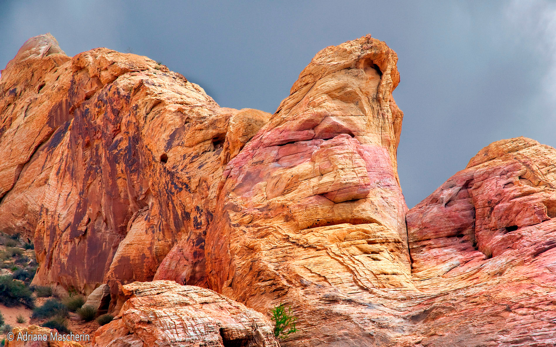 Stone Face On The White Dome Valley of Fire