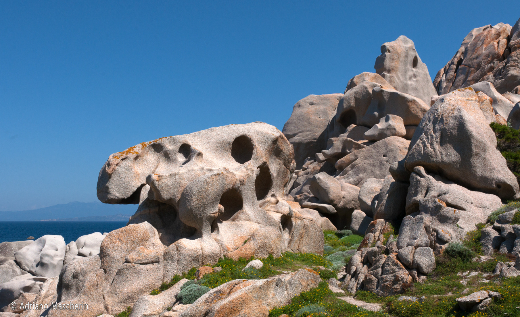 Capo testa -