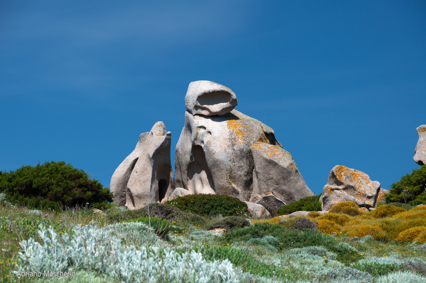 Capo testa - Il monaco - The monk