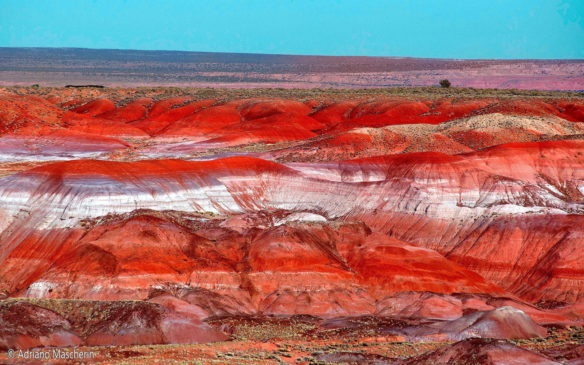 Kacina point Painted Desert
