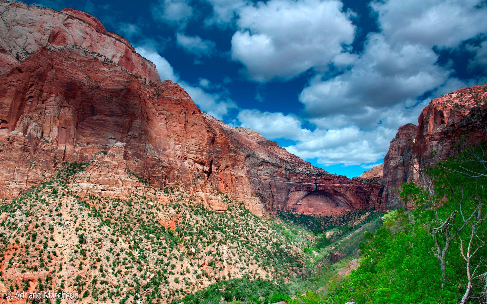 View from Mount Carmel Highway - Zion NP