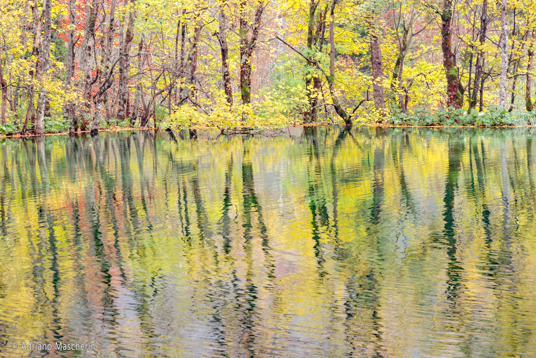 Riflessi sul lago Malo Jezero - Reflections on the Malo lake