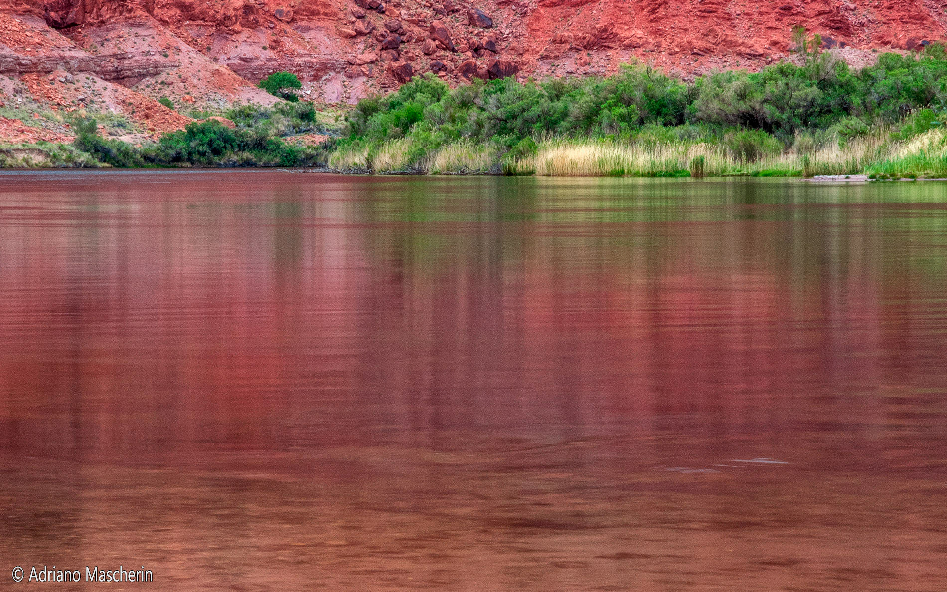 Colorado river at Lees Ferry