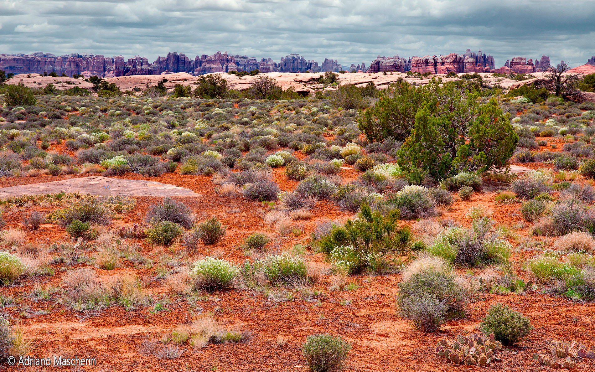 Slick Roks Trail - Neddles NP
