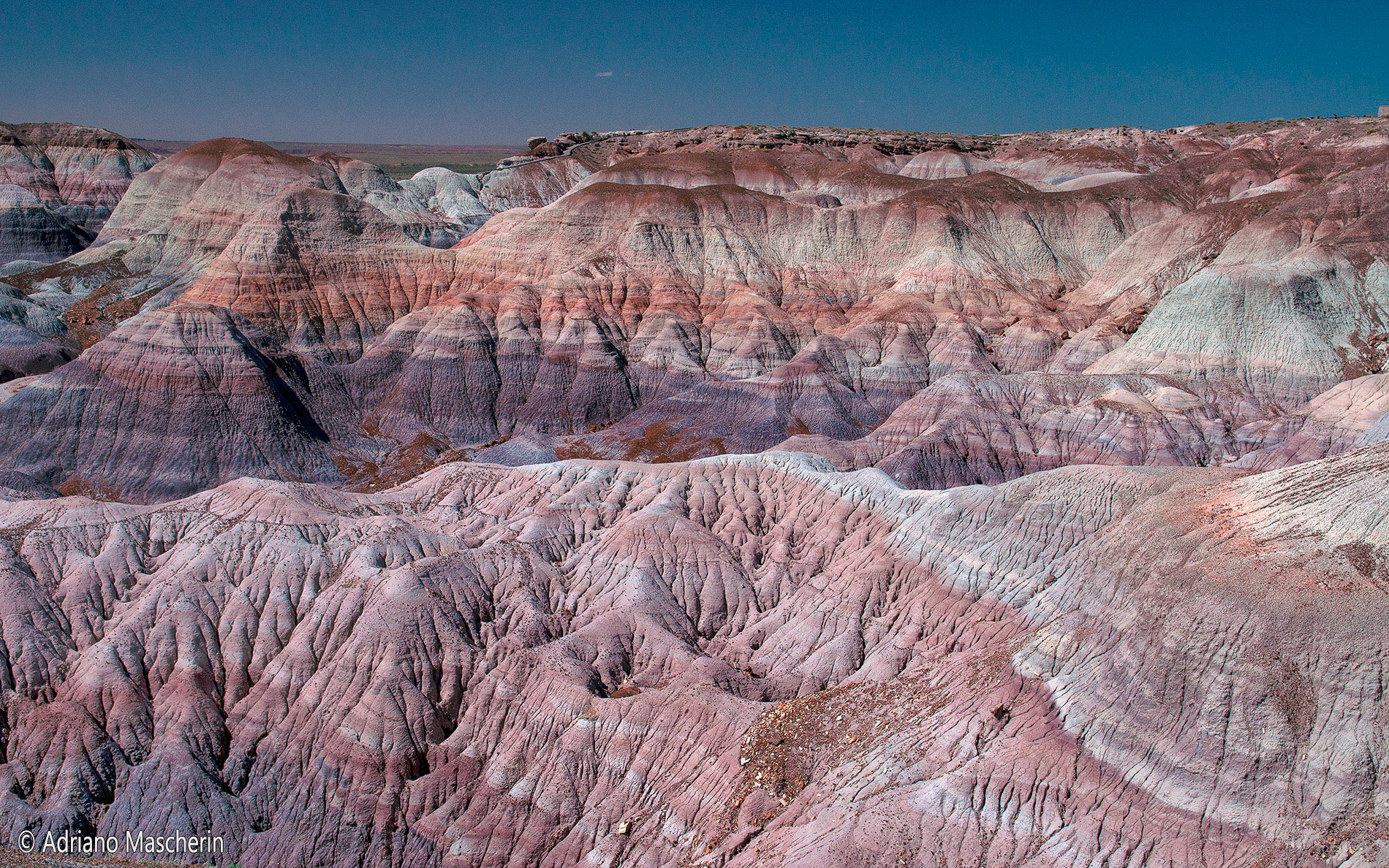 Blue Mesa Pietrified Forest