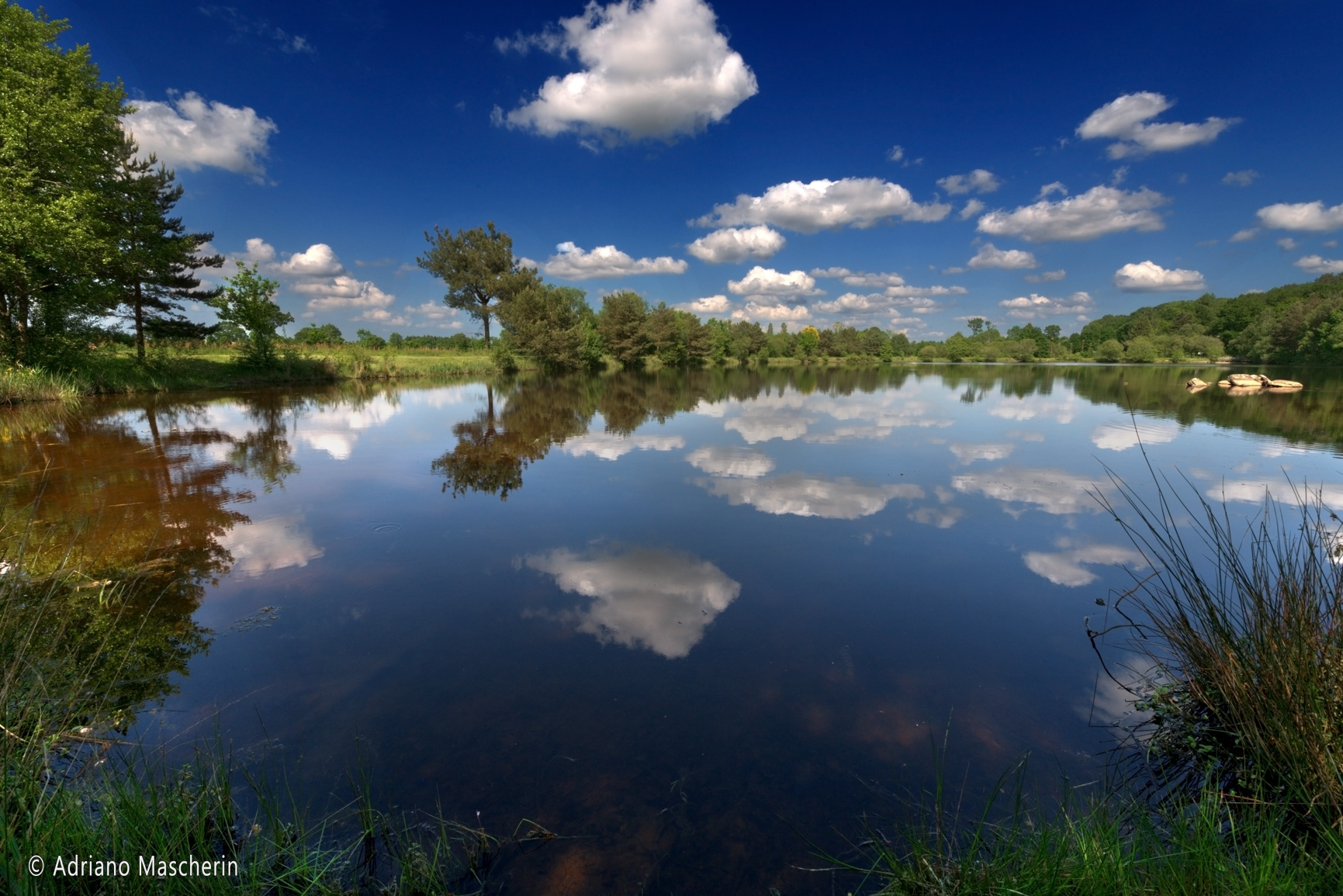 Saint-Malon-sur-Mel - Stagno de la Marette - Pond de la Marette