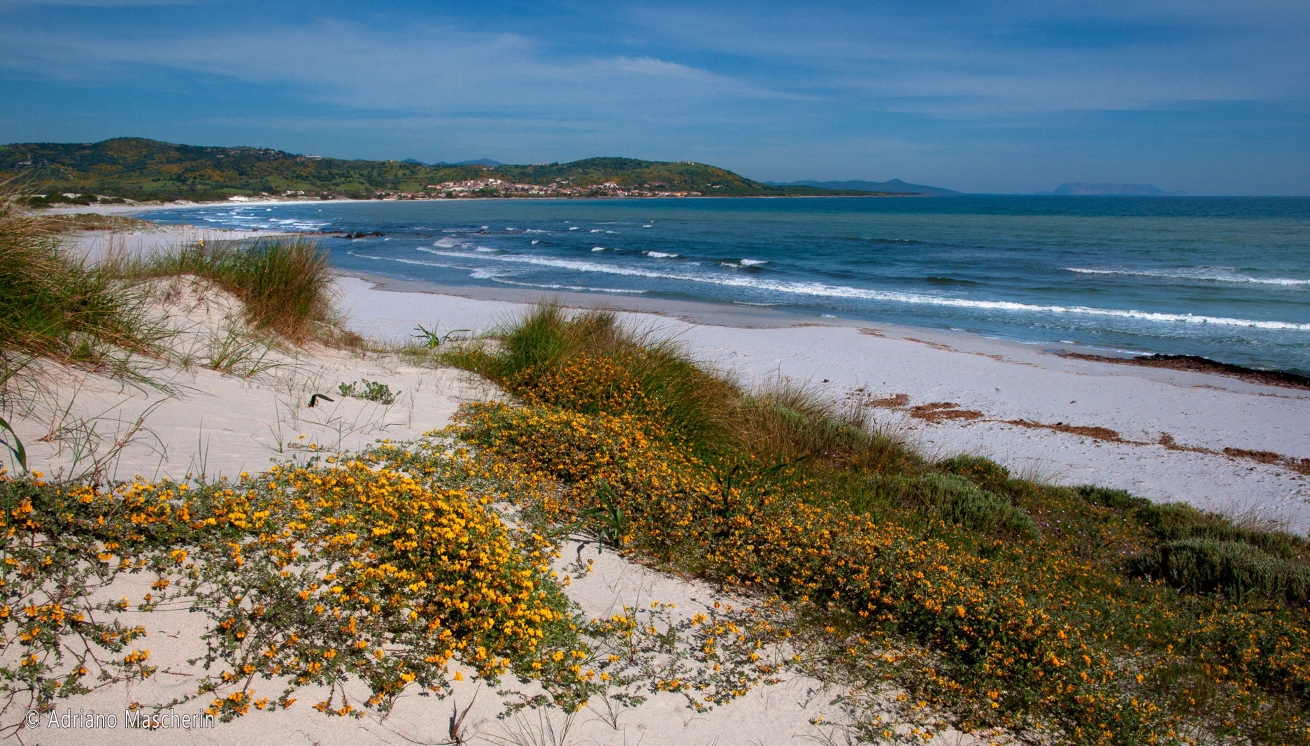 Capo Comino - Dune e spiaggia - Dunes and beach