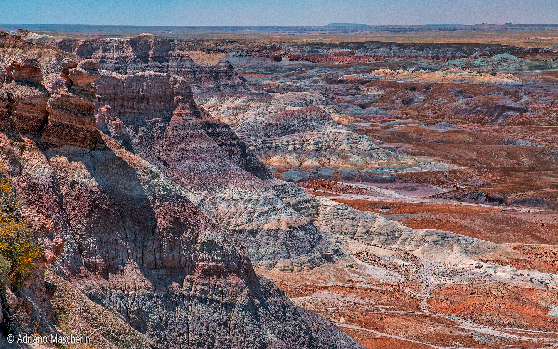 Vista foresta pietrificata da Blue Mesa - Petrified Forest View from Blue Mesa