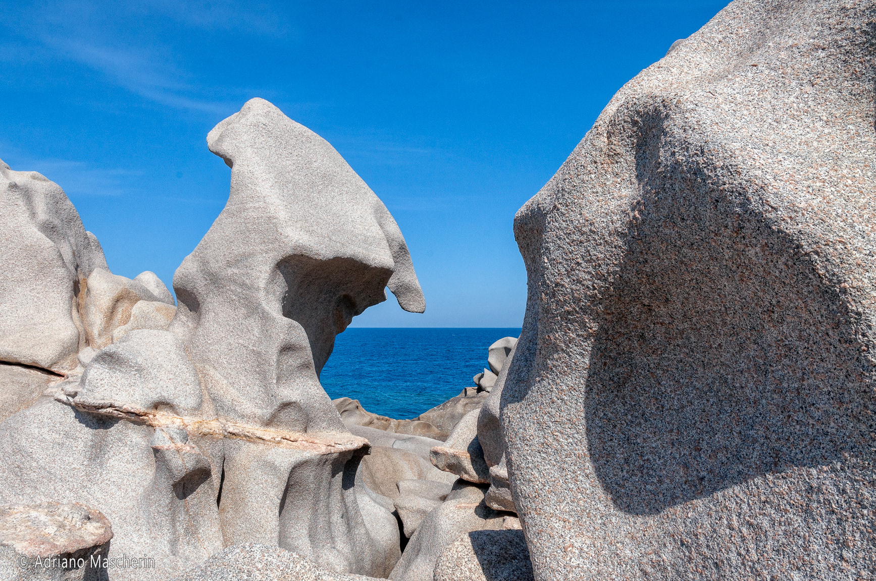 Capo testa - Testa - Head