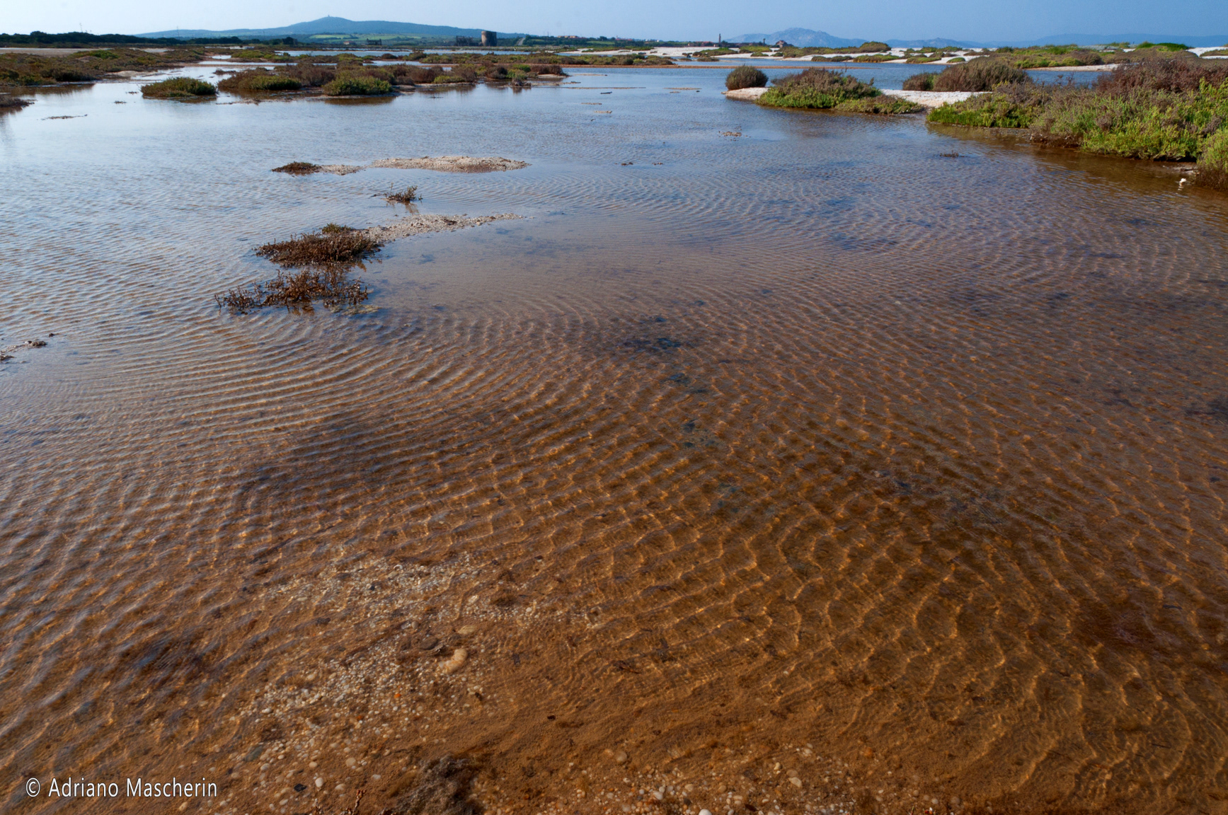 Stintino - Stagno le Saline