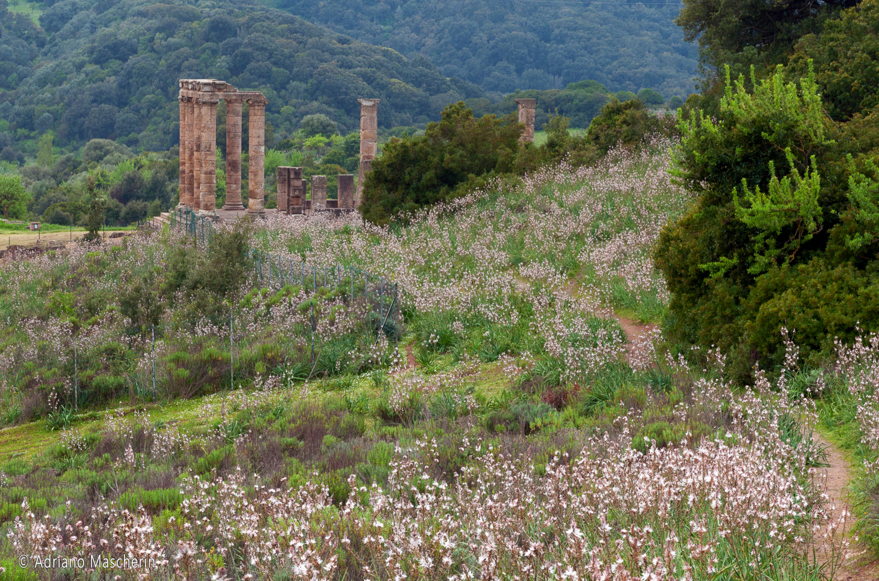 Fluminimaggiore - Tempio Antas - Antas Temple