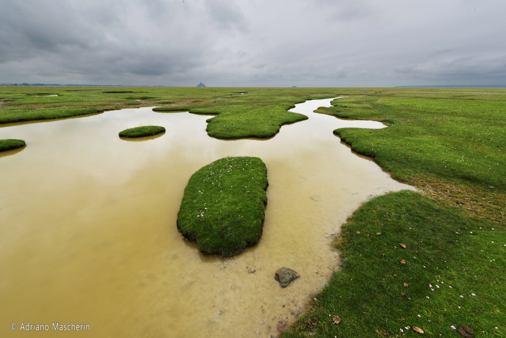 Mont St. Michel - dai prati verdi - from green meadows
