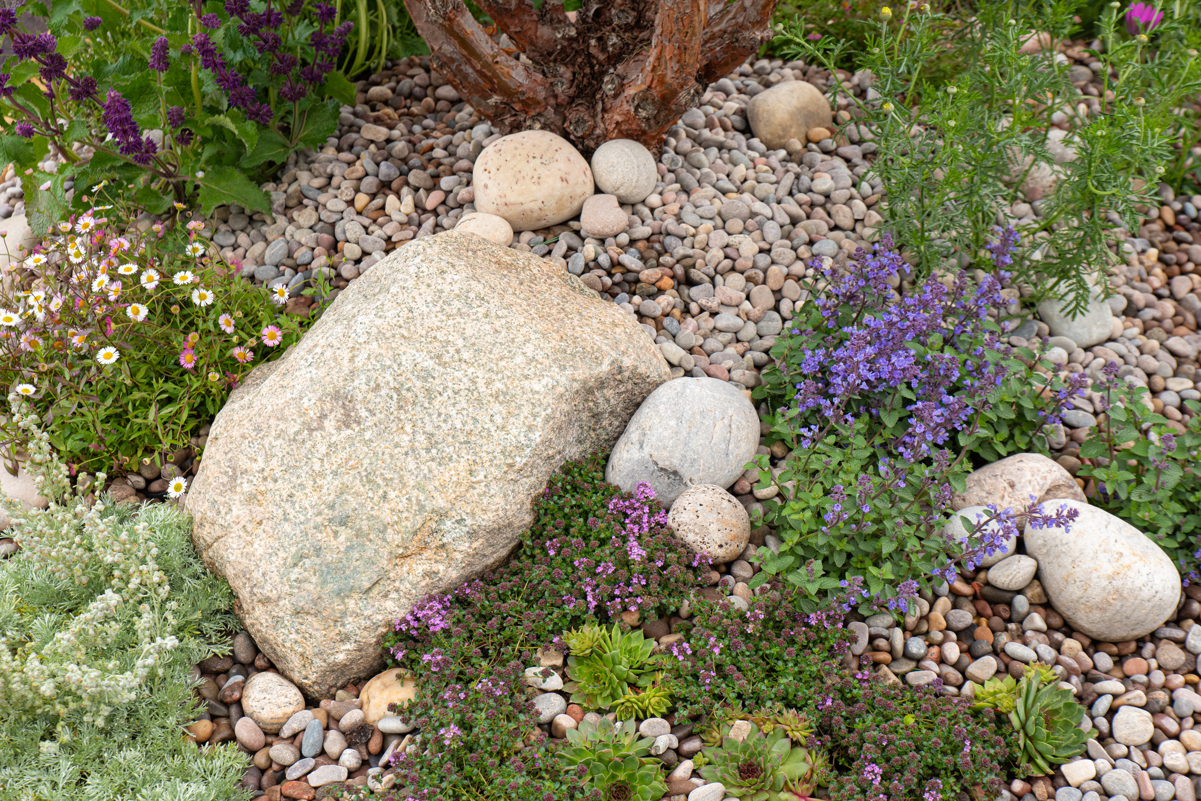Gravel Garden