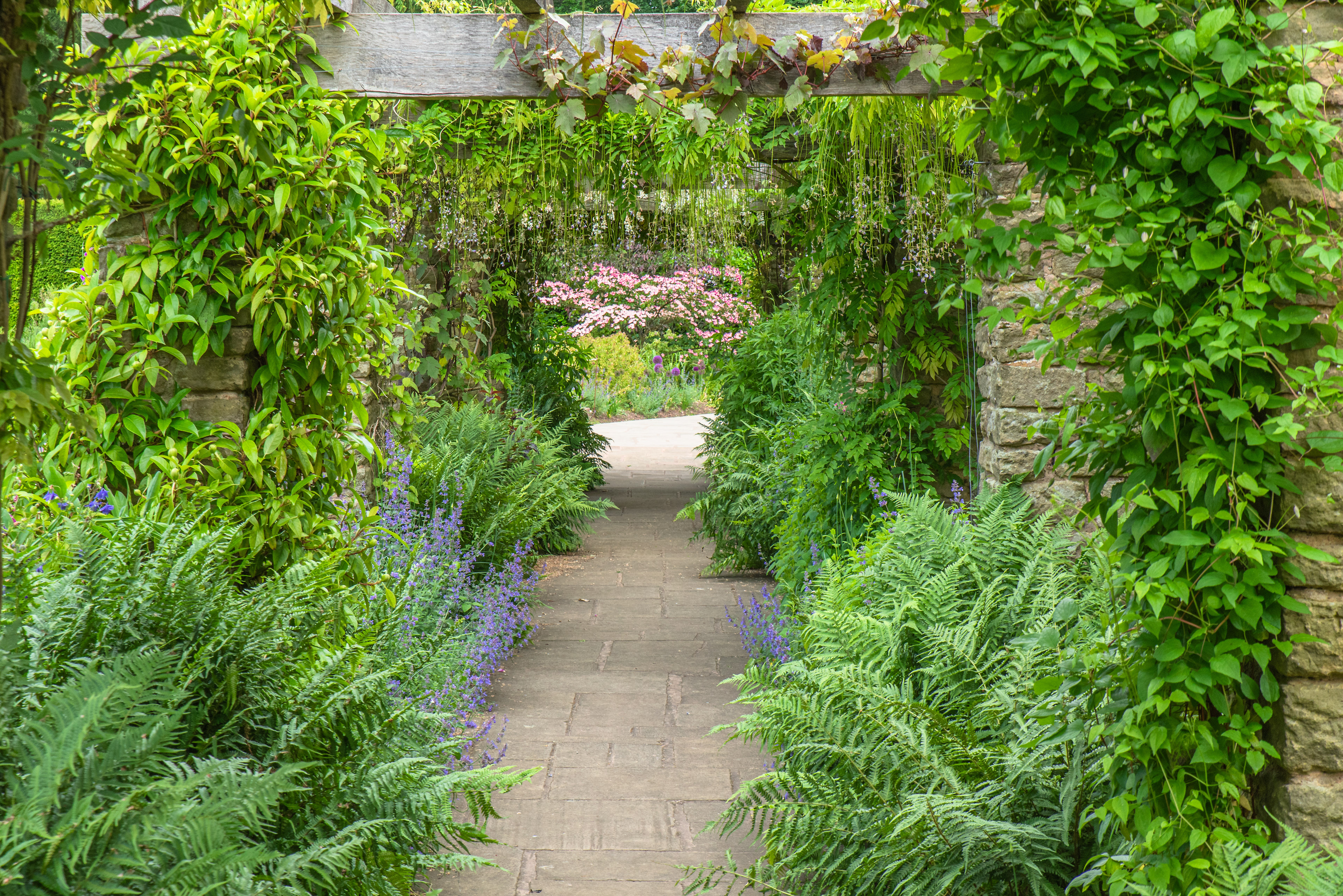 Pergola at Winterborne House and Gardens
