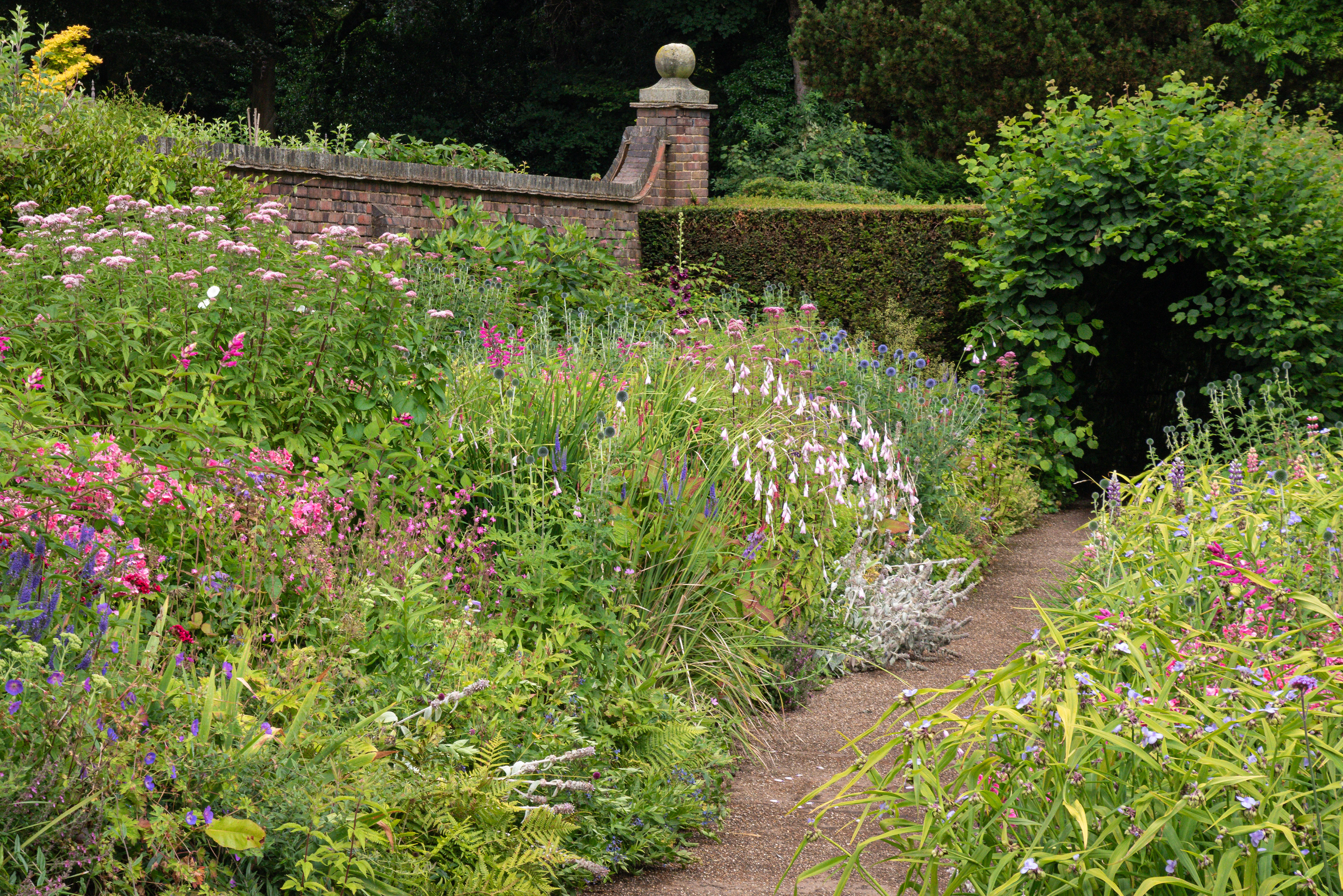 Summer boarder at Winterborne House and Gardens