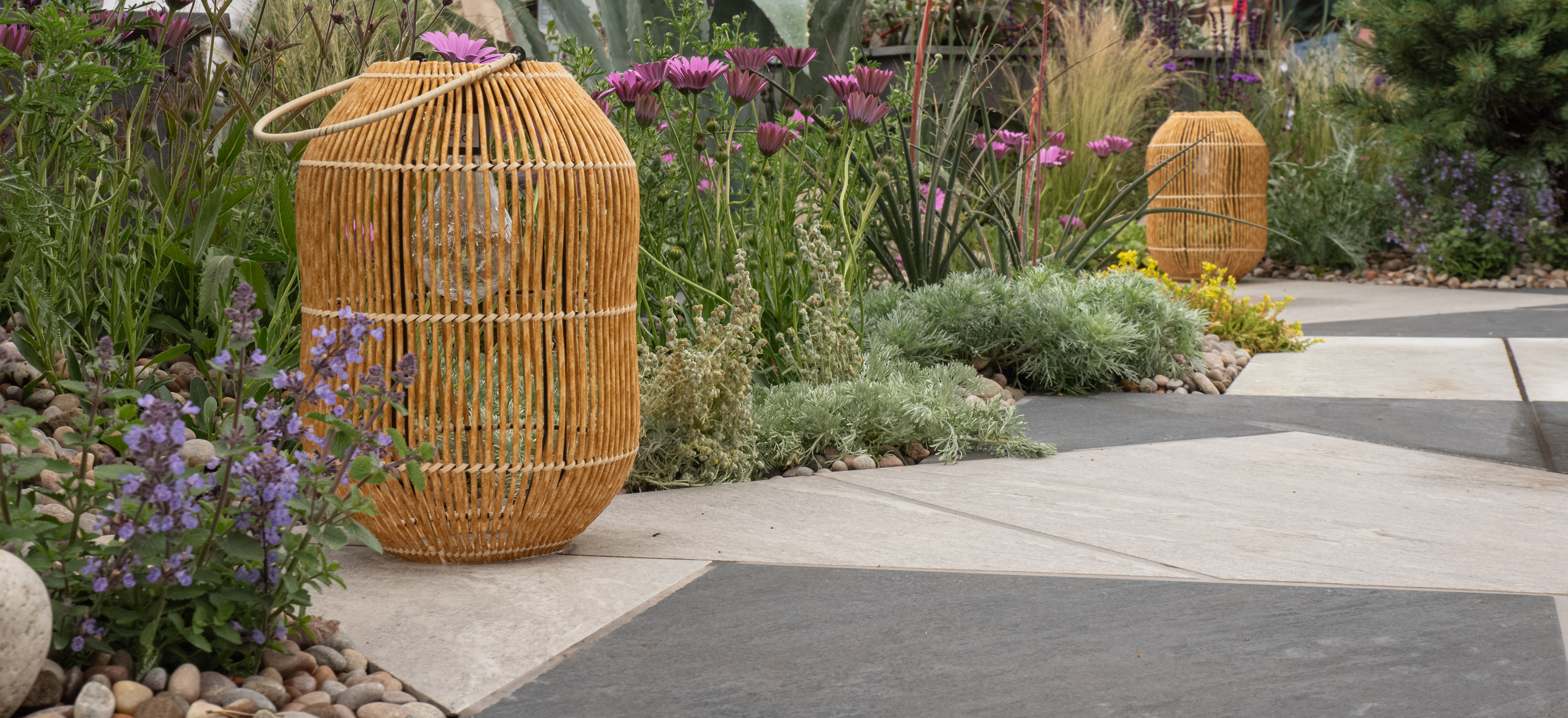 A Brace of Embraces (dry garden) - Designer Cherry Carmen