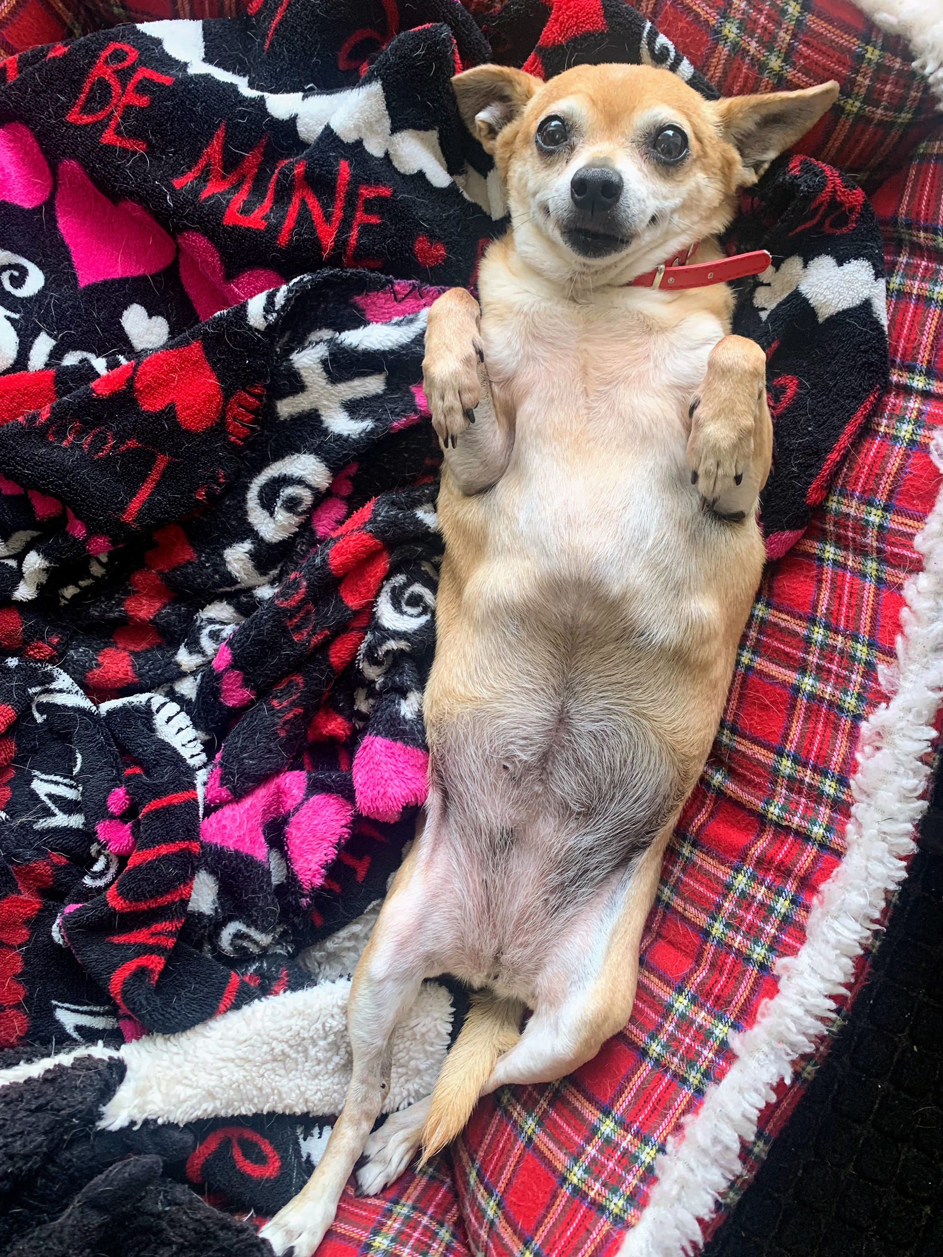 Lala