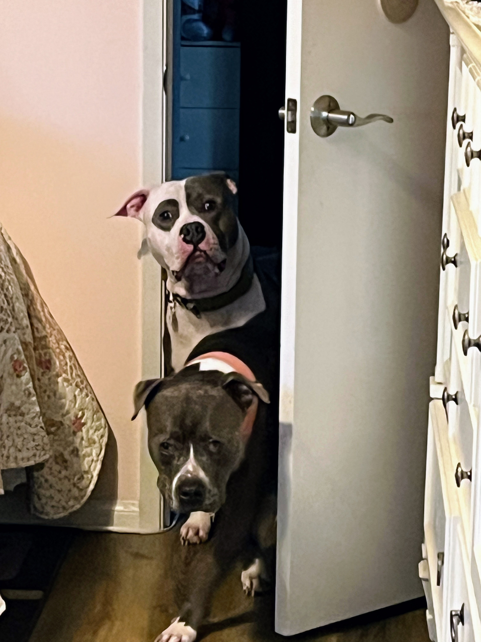 Lenny & Kilo