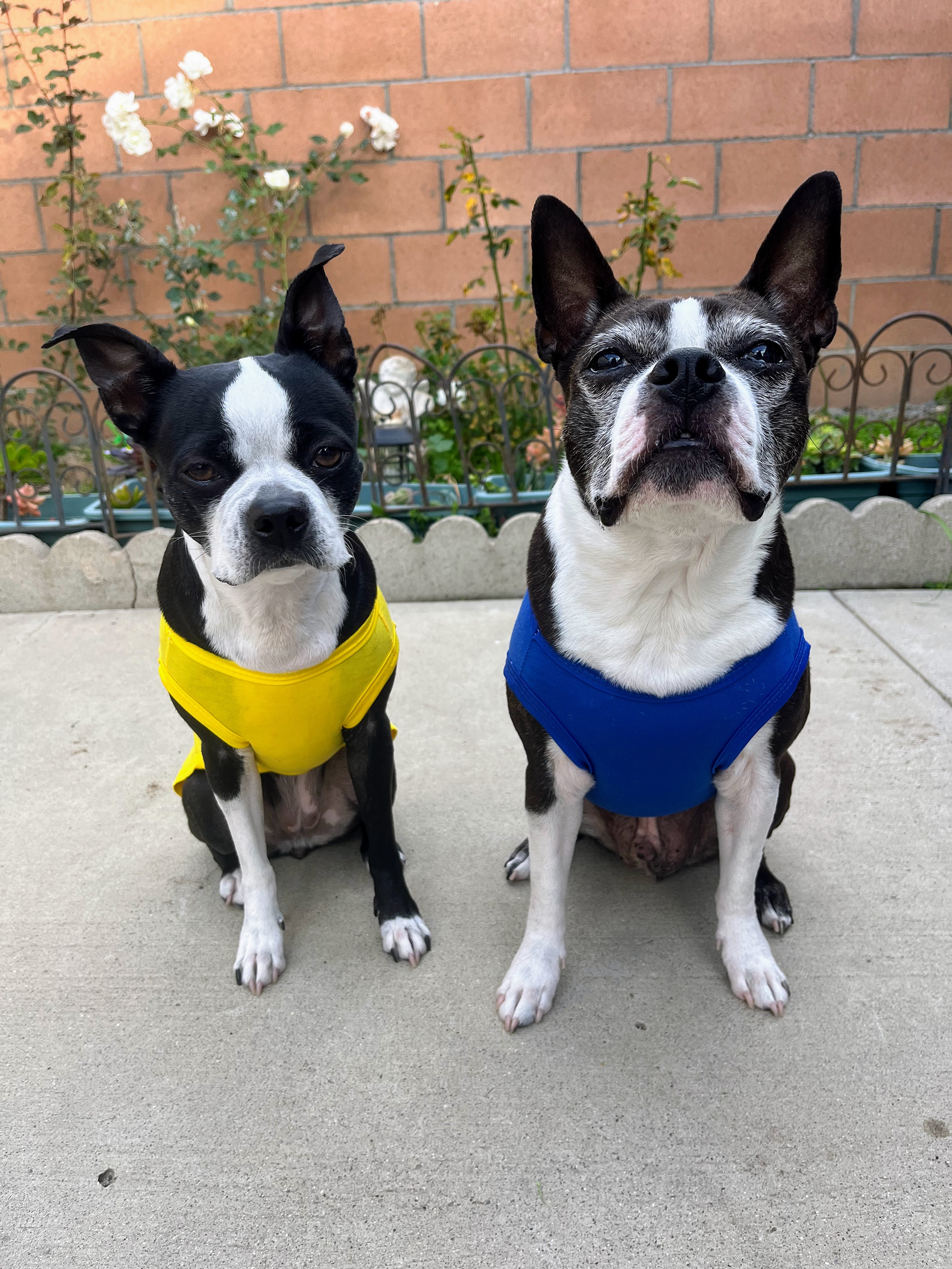 Mimi & Homer