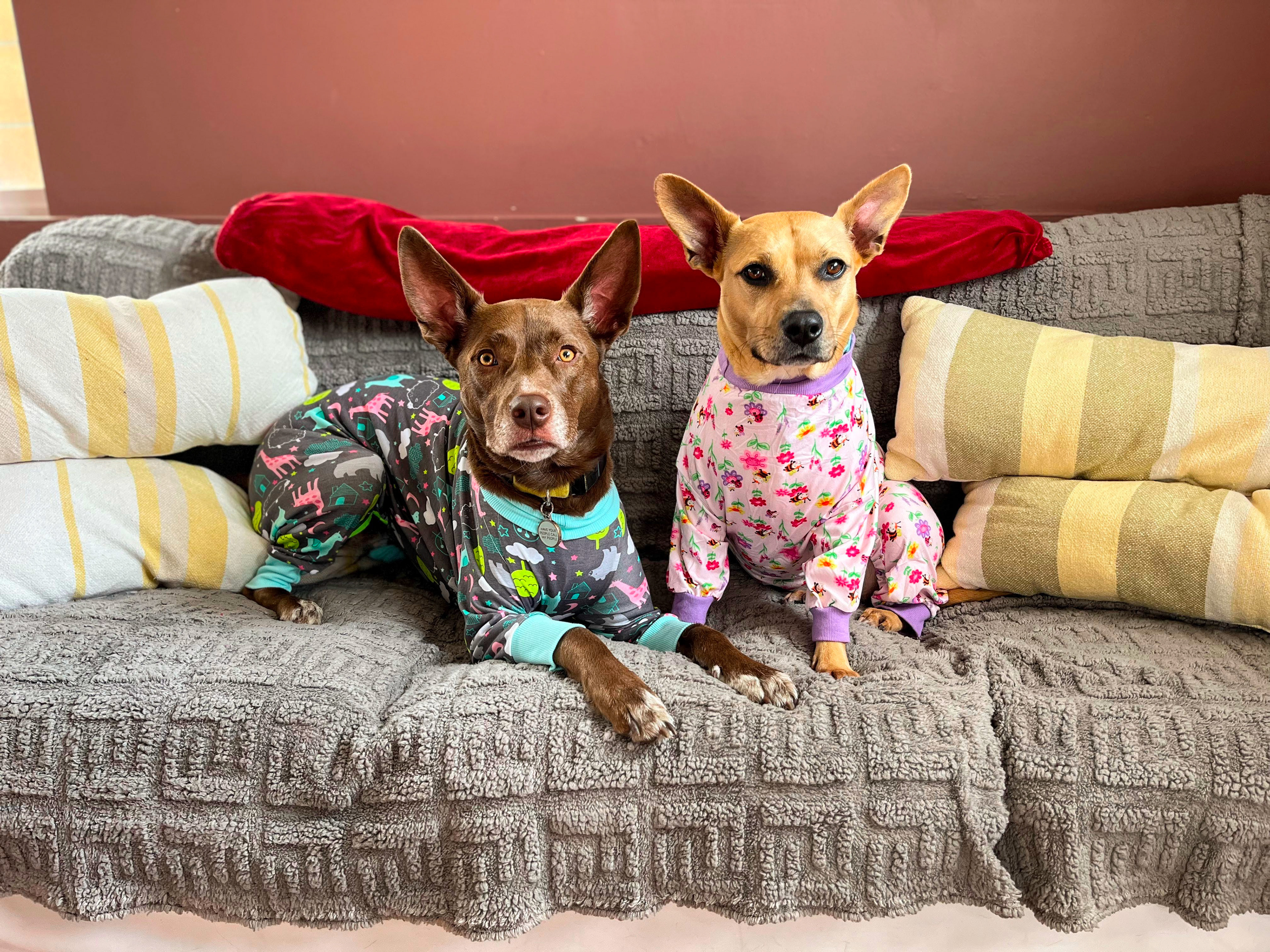 Harper & Kira