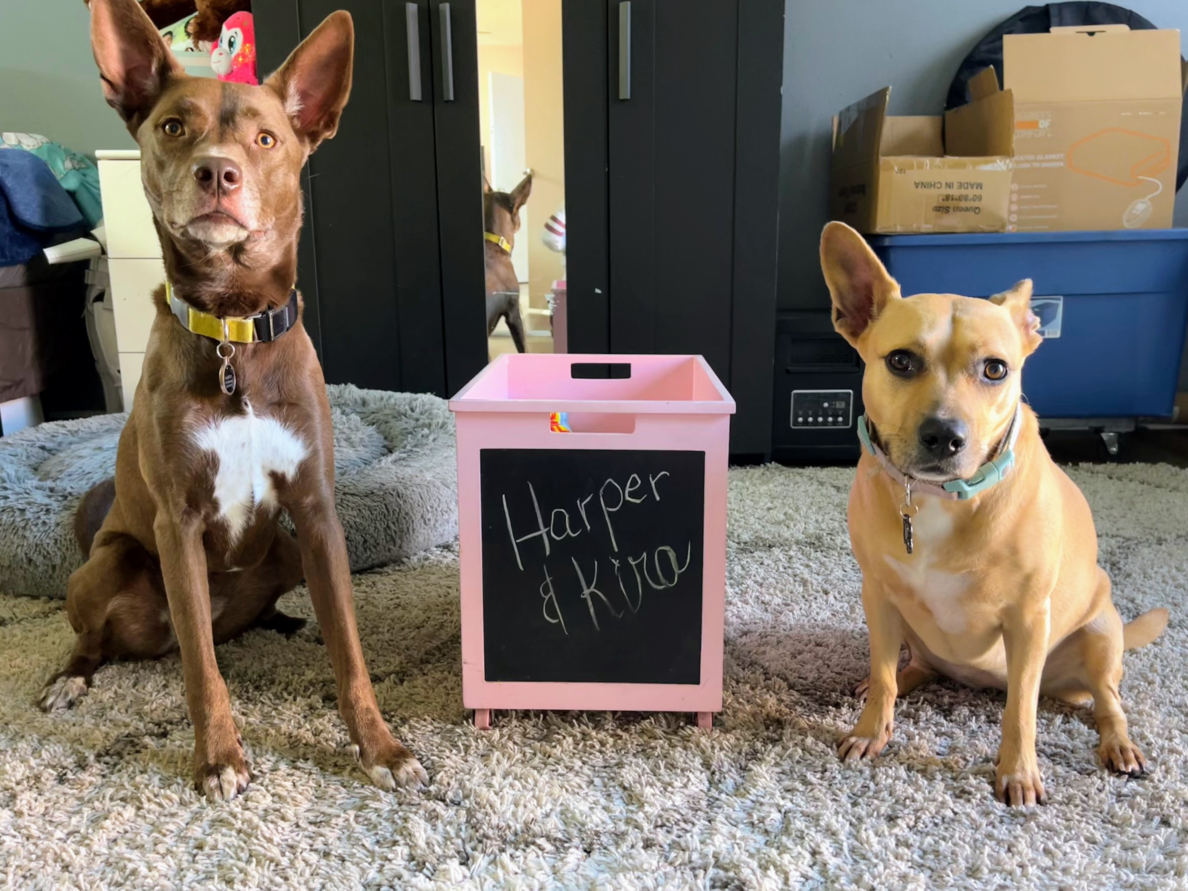 Harper & Kira