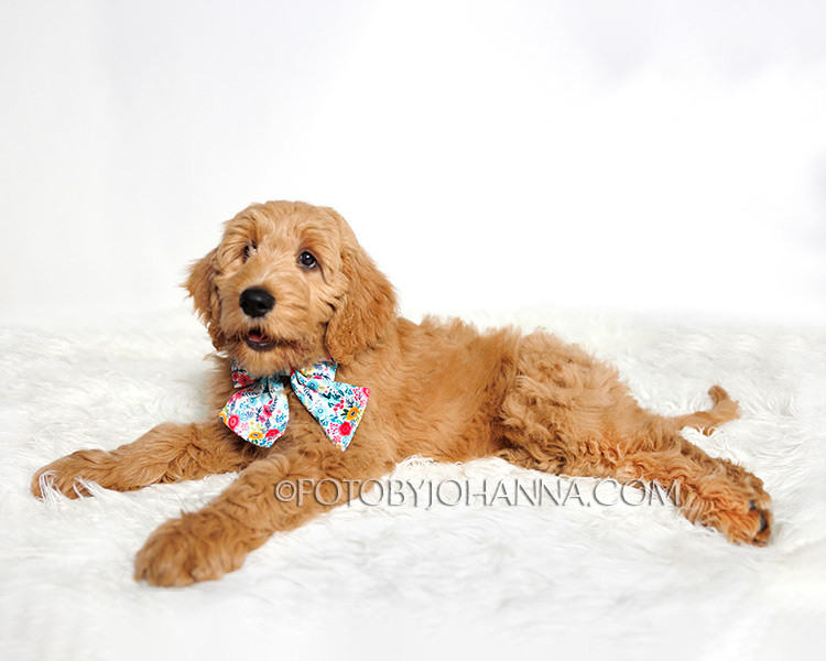 CHARLOTTE 3MO.