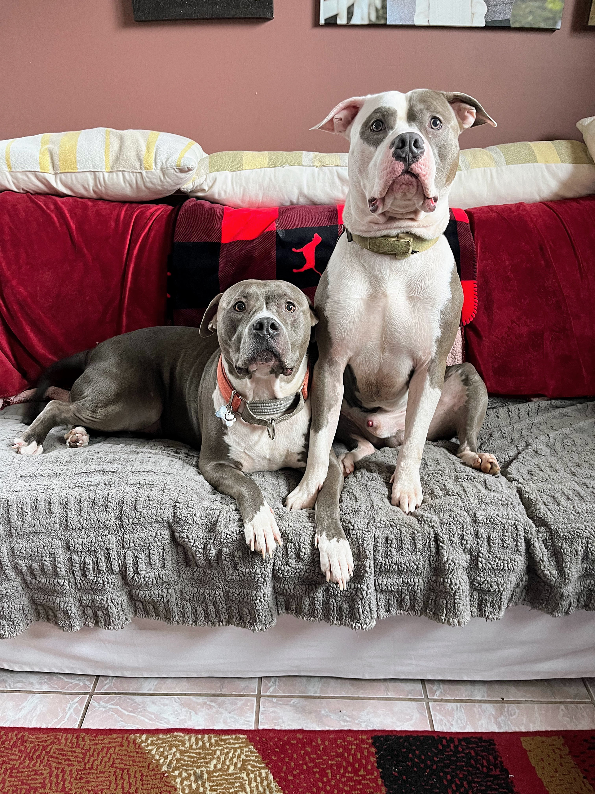 Lenny & Kilo