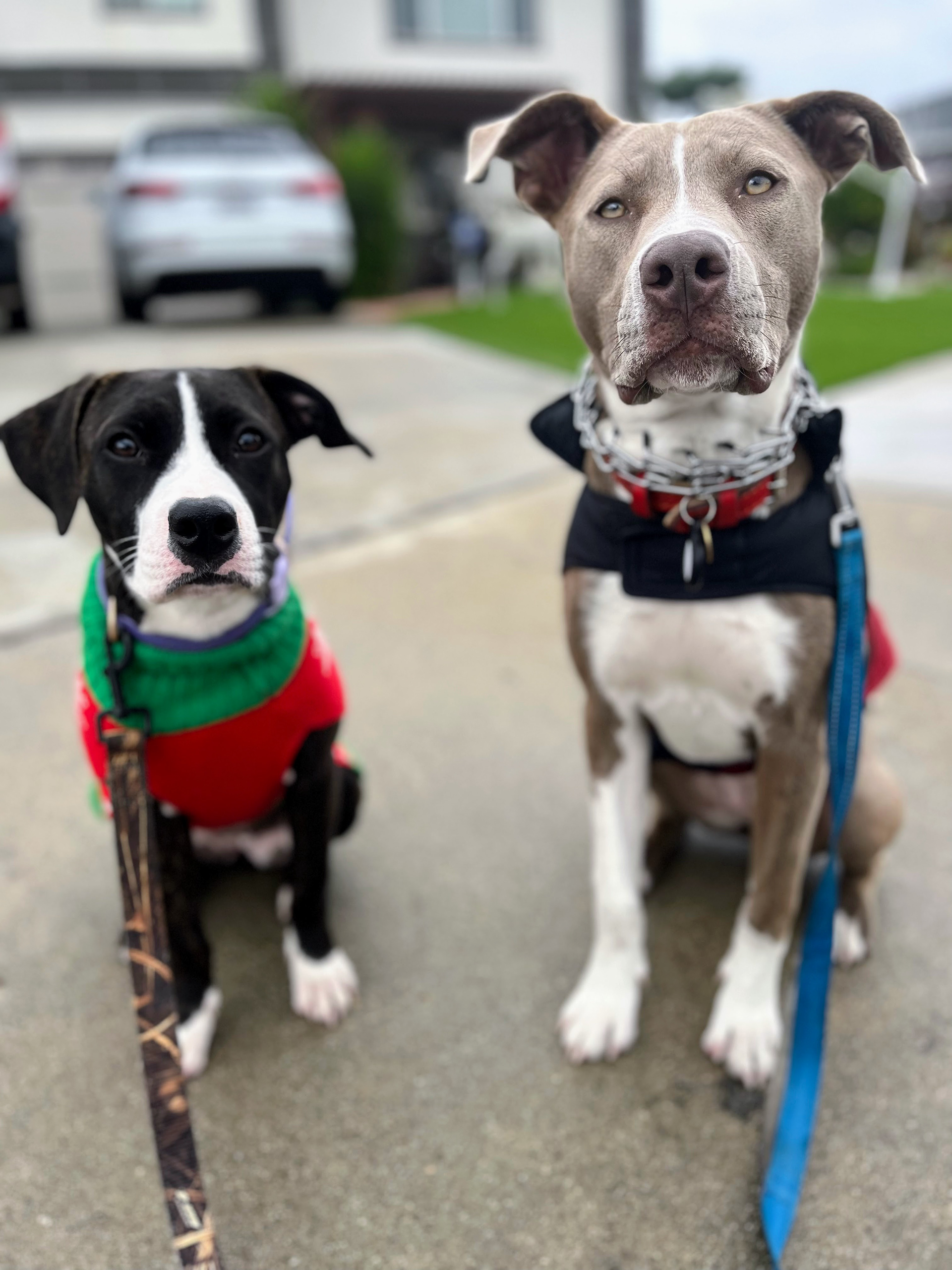 Bobbie & Ruby