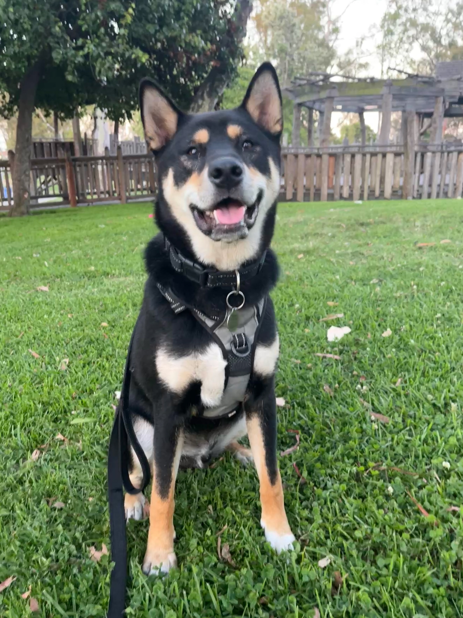 Kuma - Redondo Beach