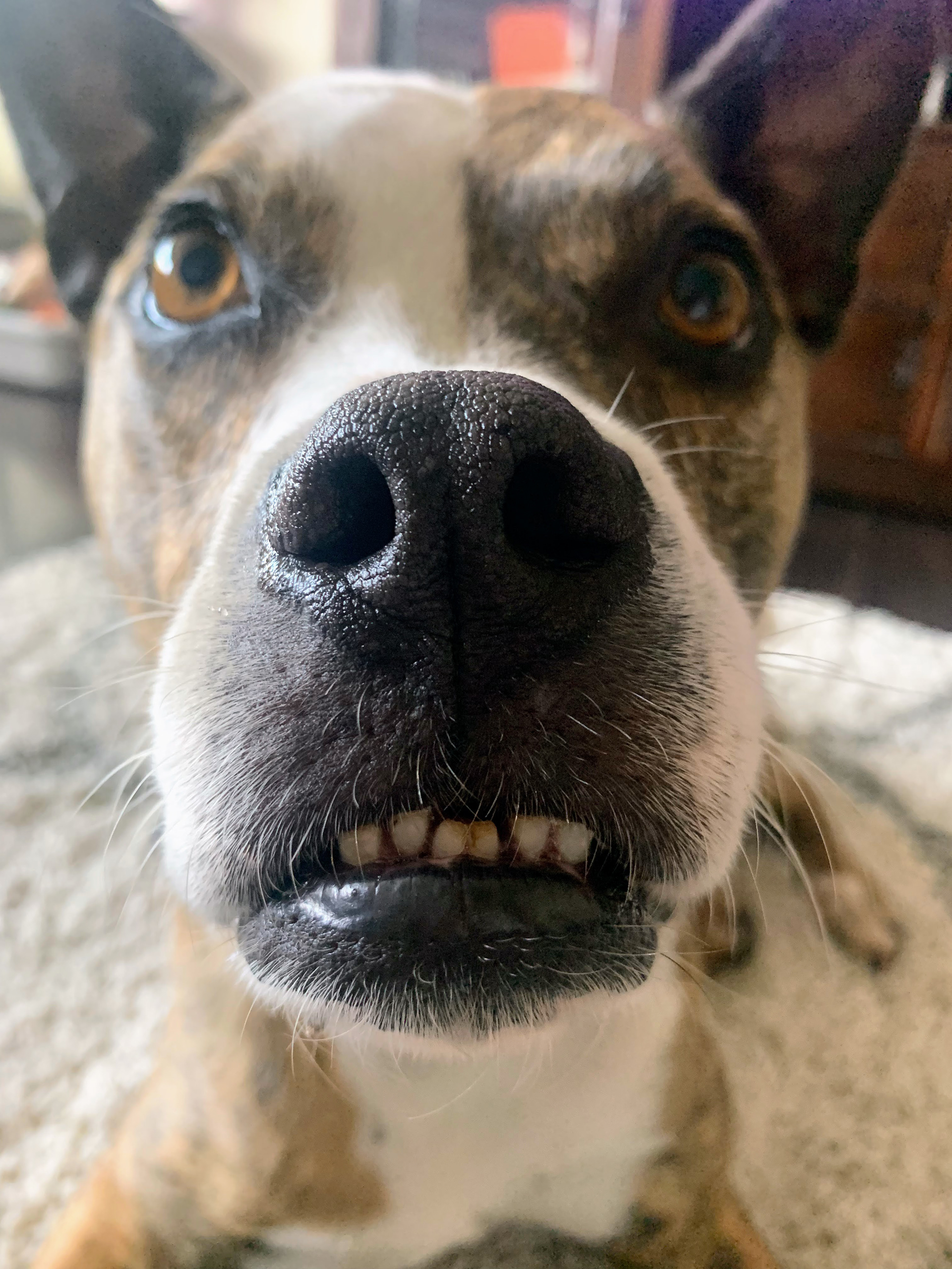 Benson