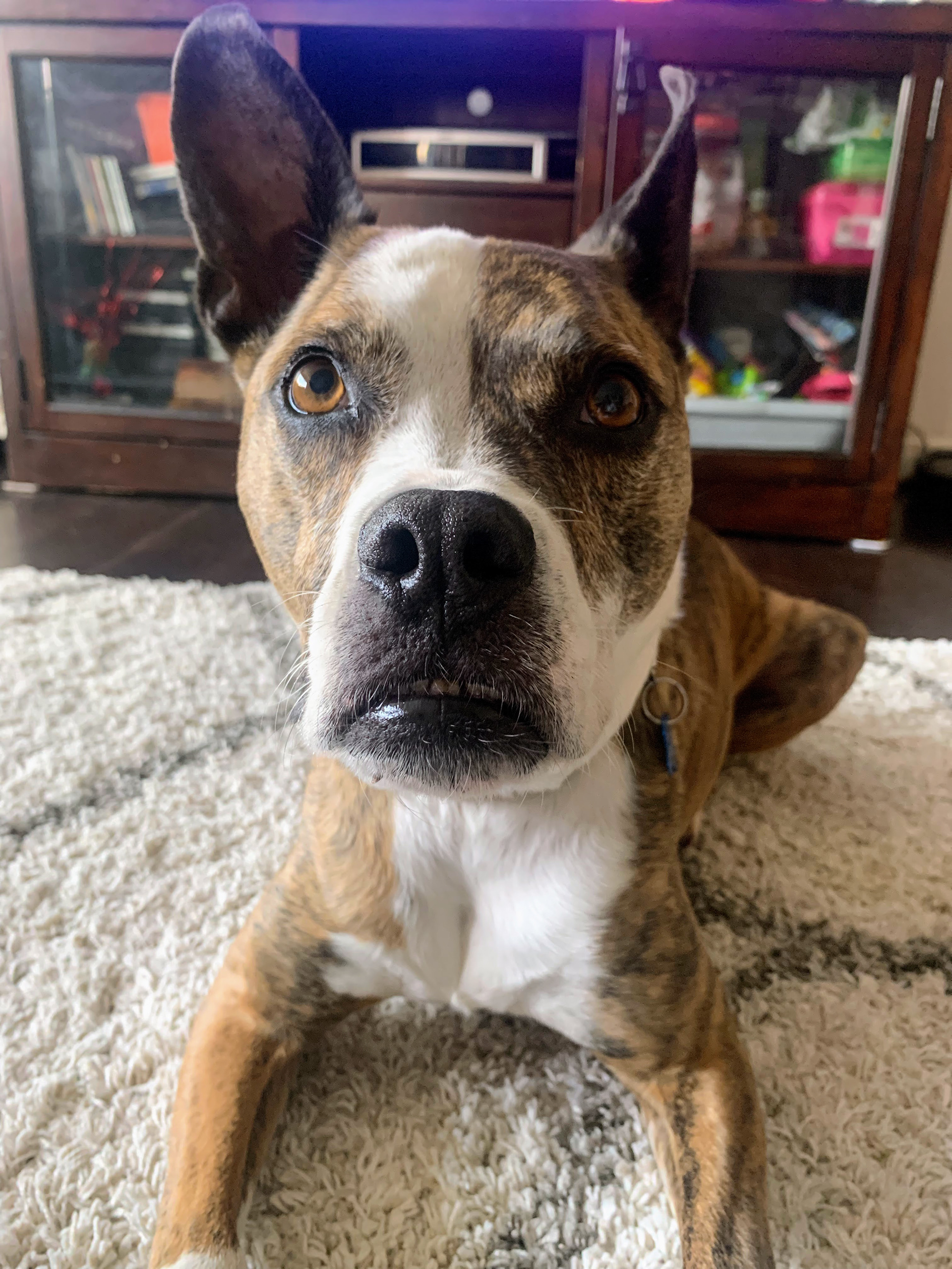 Benson