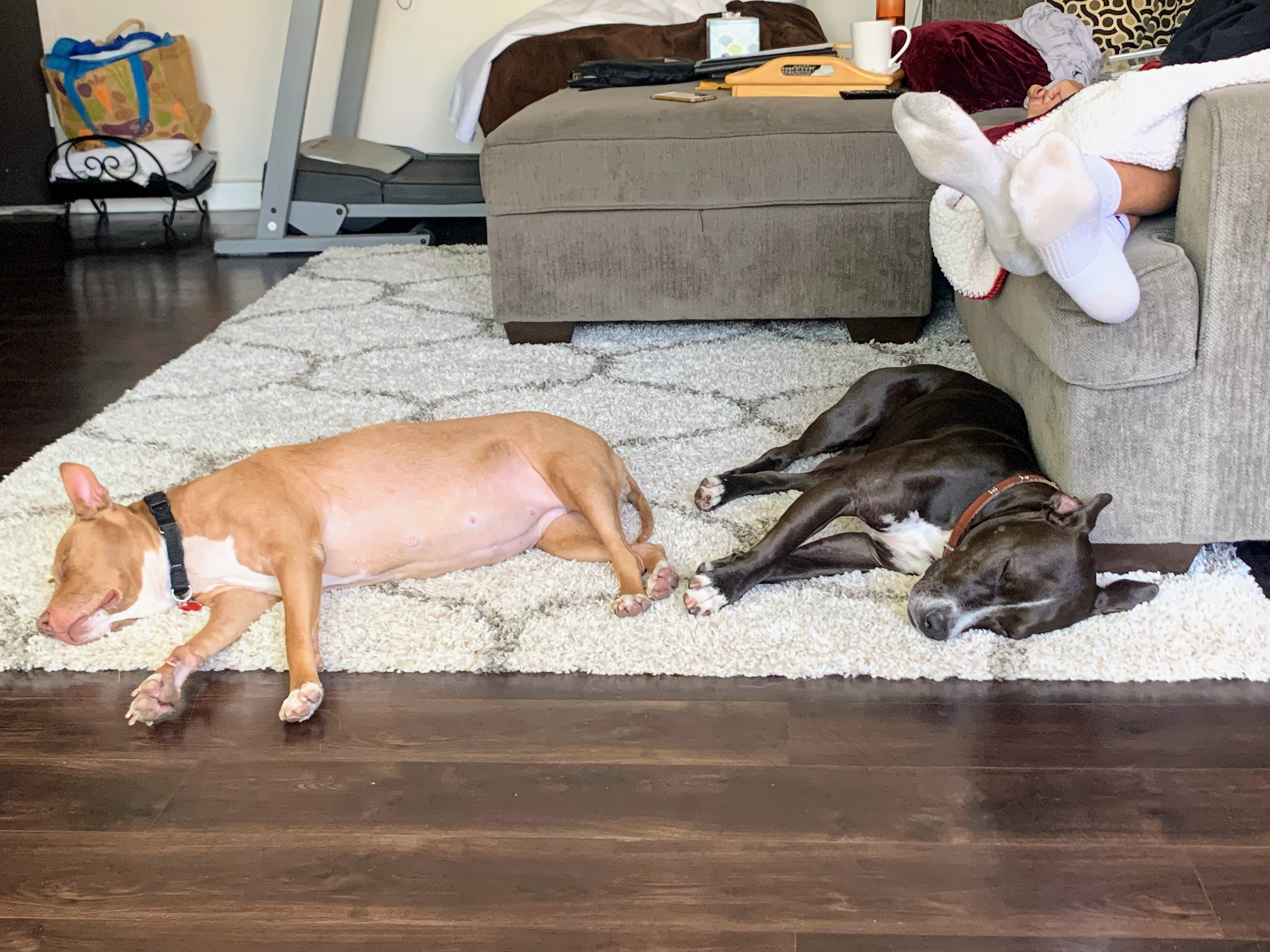 rosey & Pepper