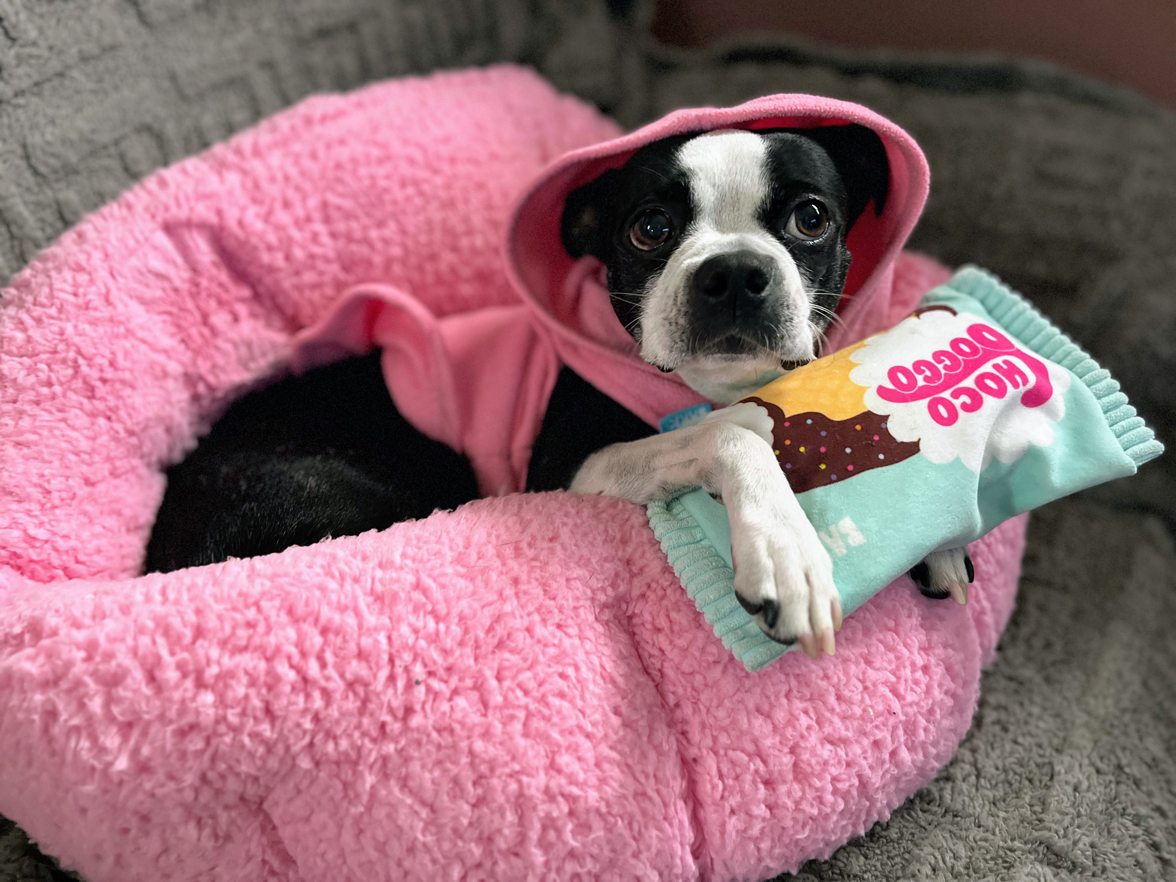 Mimi