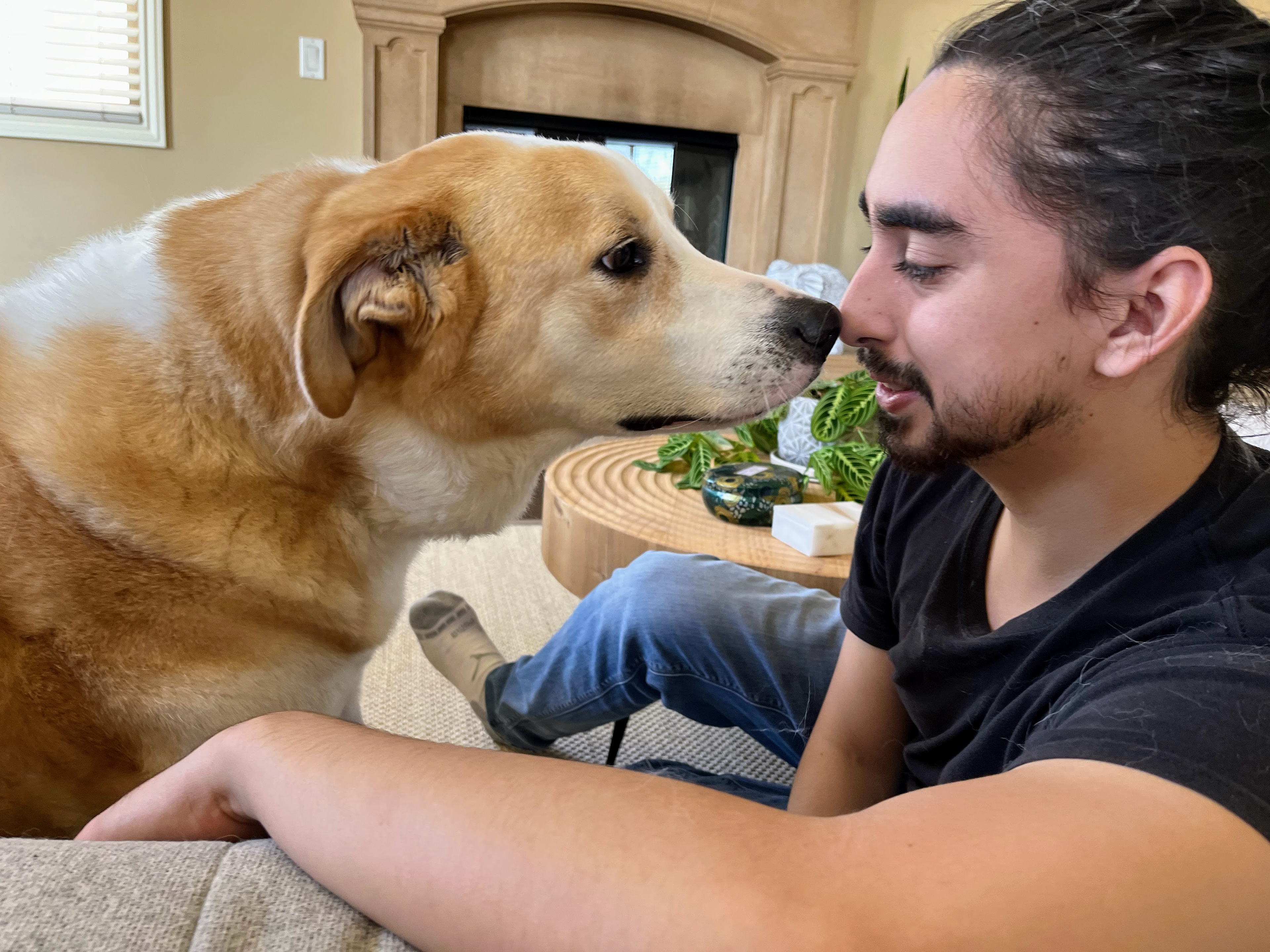 Nala & Dawson
