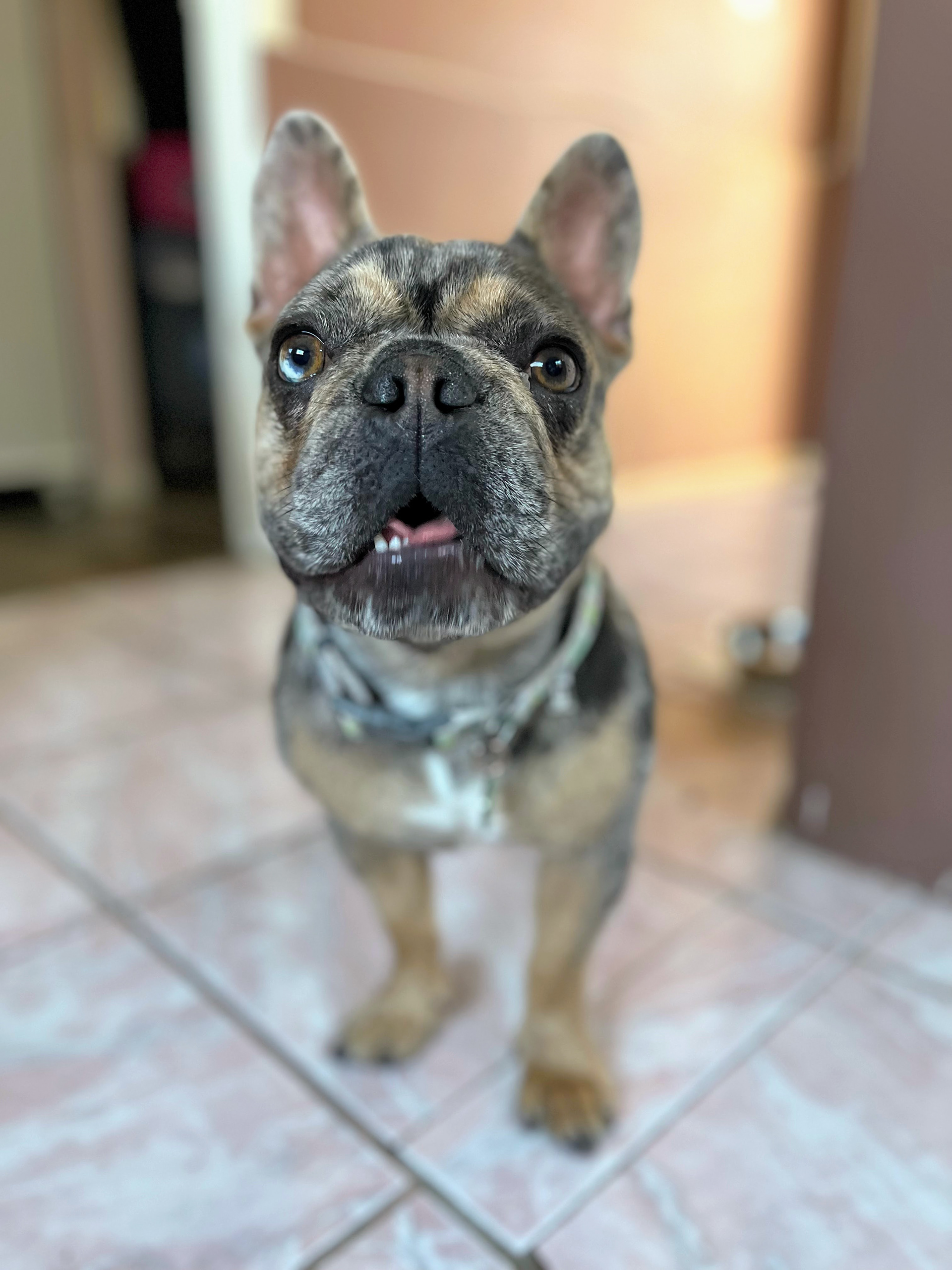 Prince