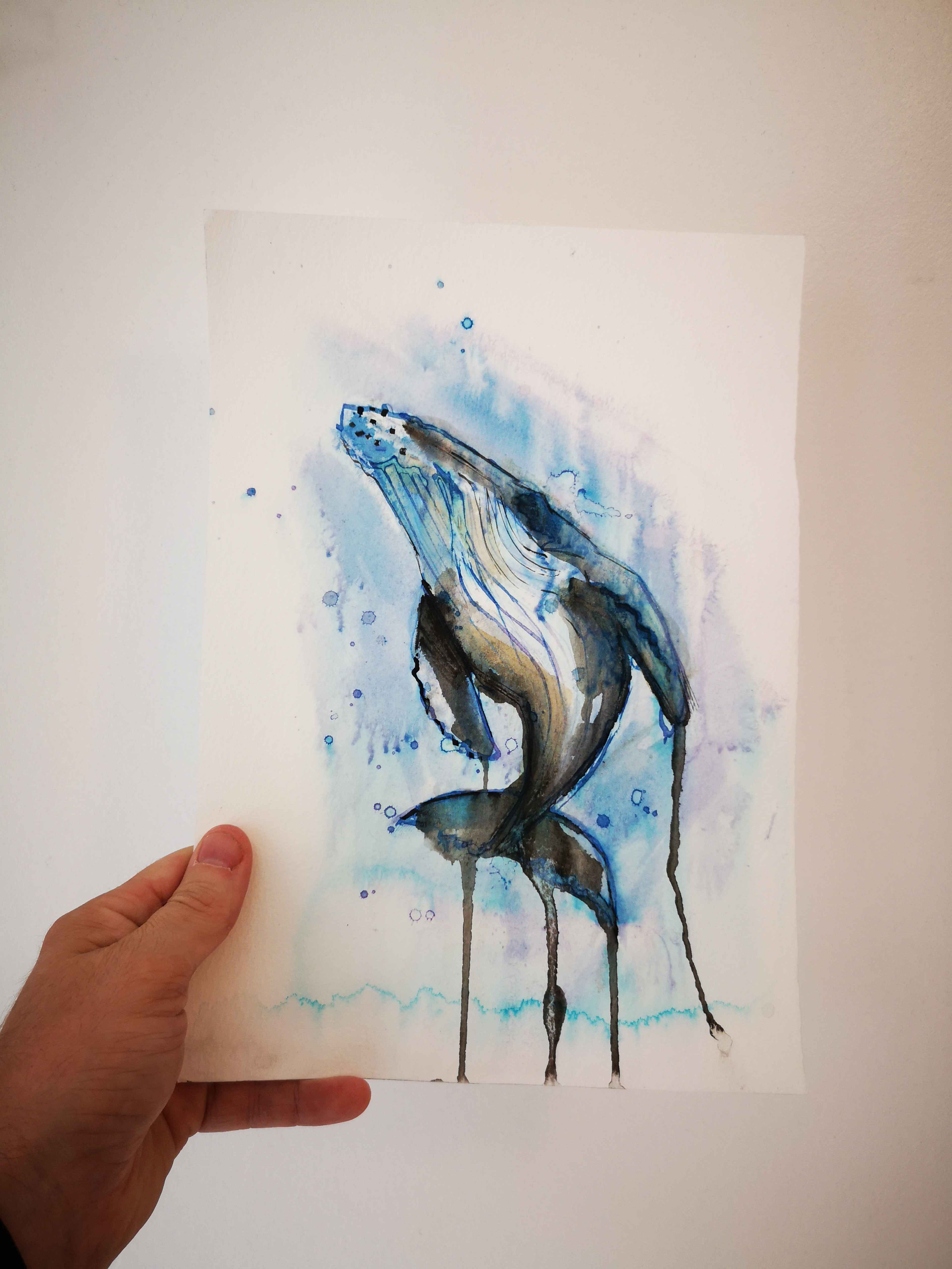 Ink drawing of whale