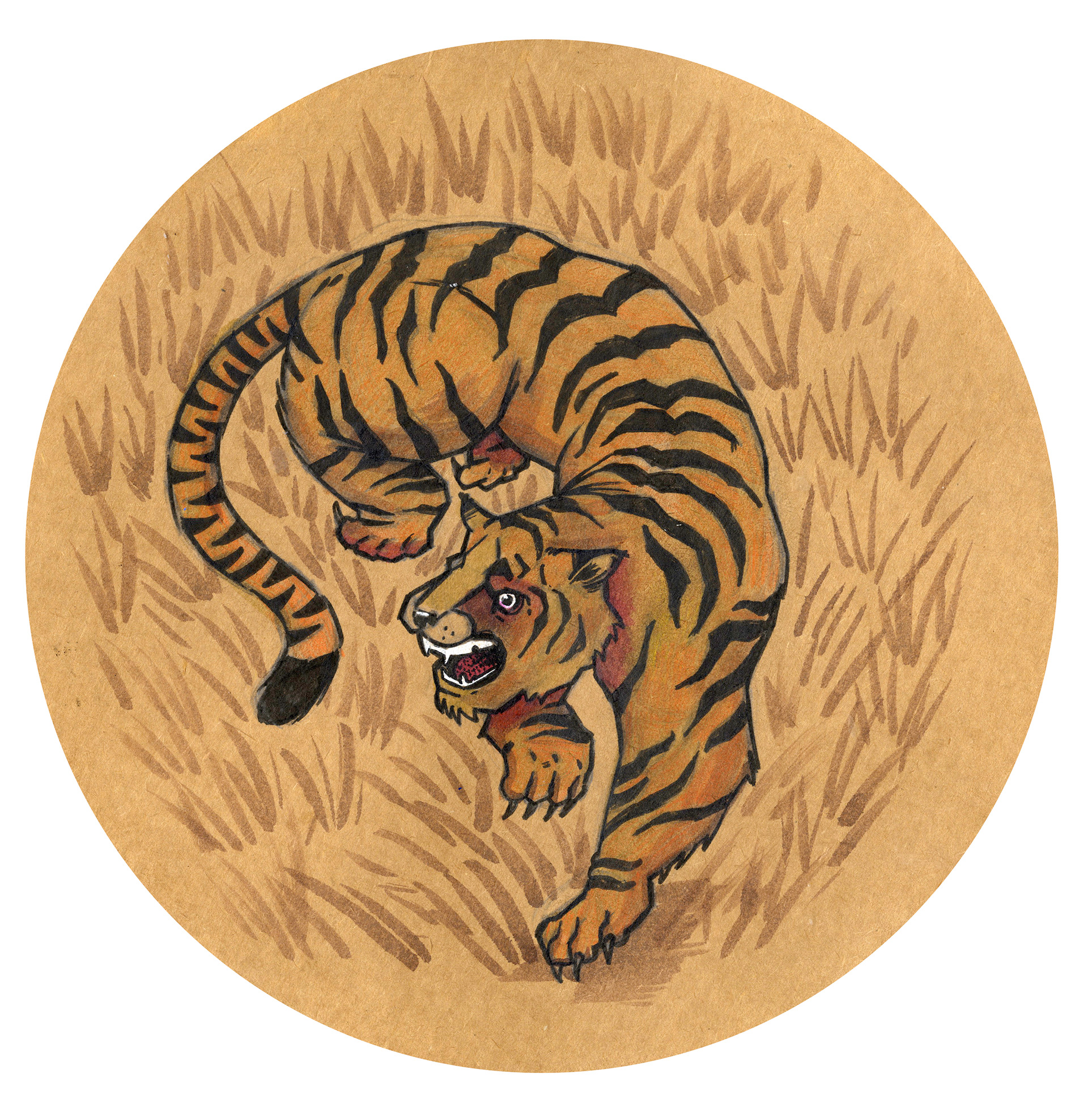 Illustration of tiger in ink on old packaging