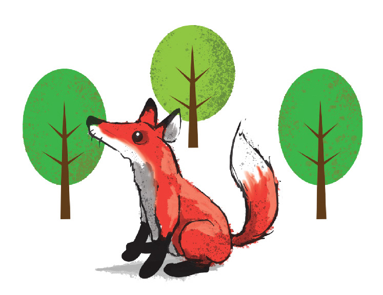 Forest Fox