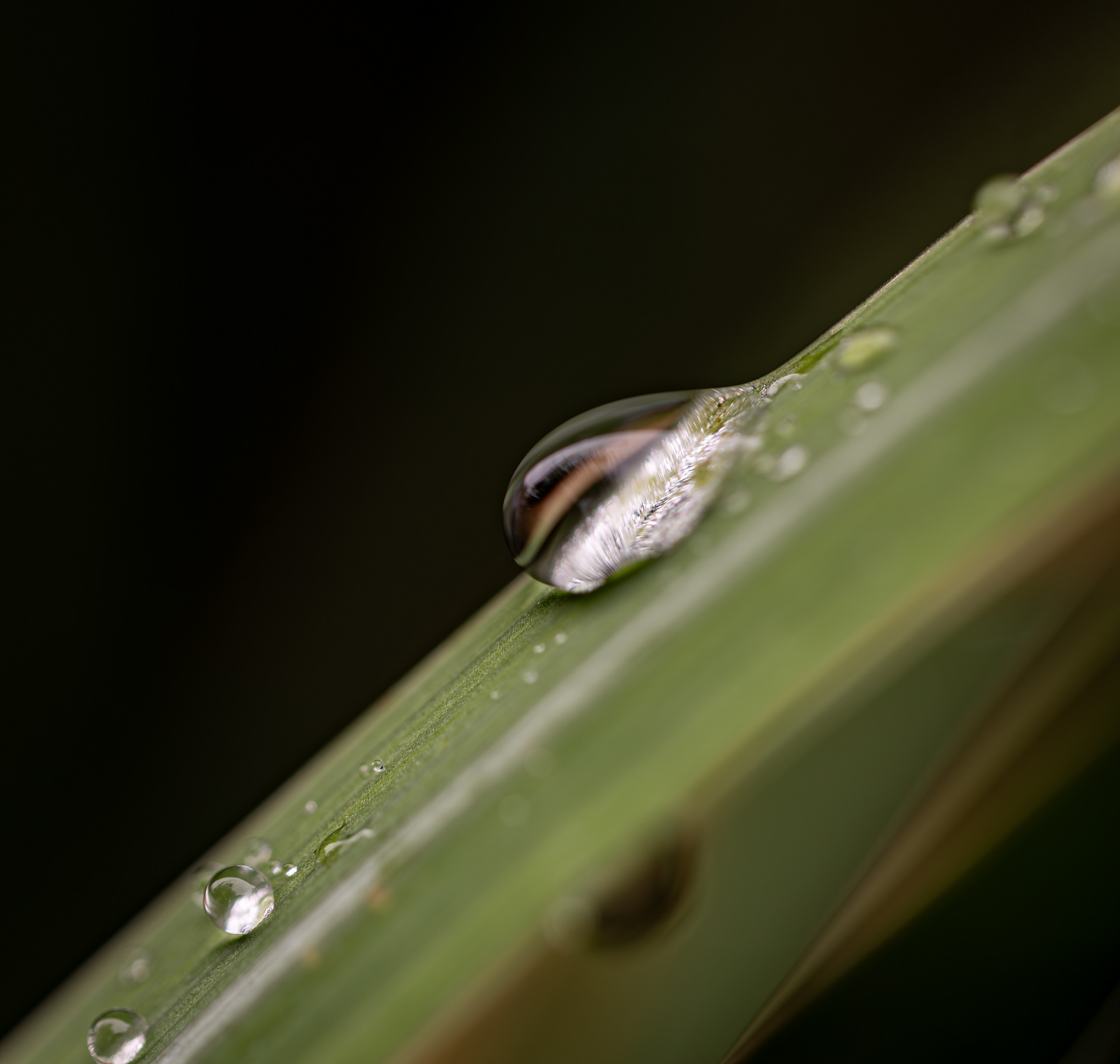 Raindrop